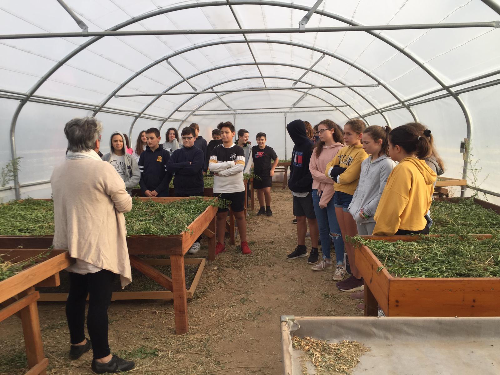 WhatsApp Image 2019-10-04 at 19.37.37