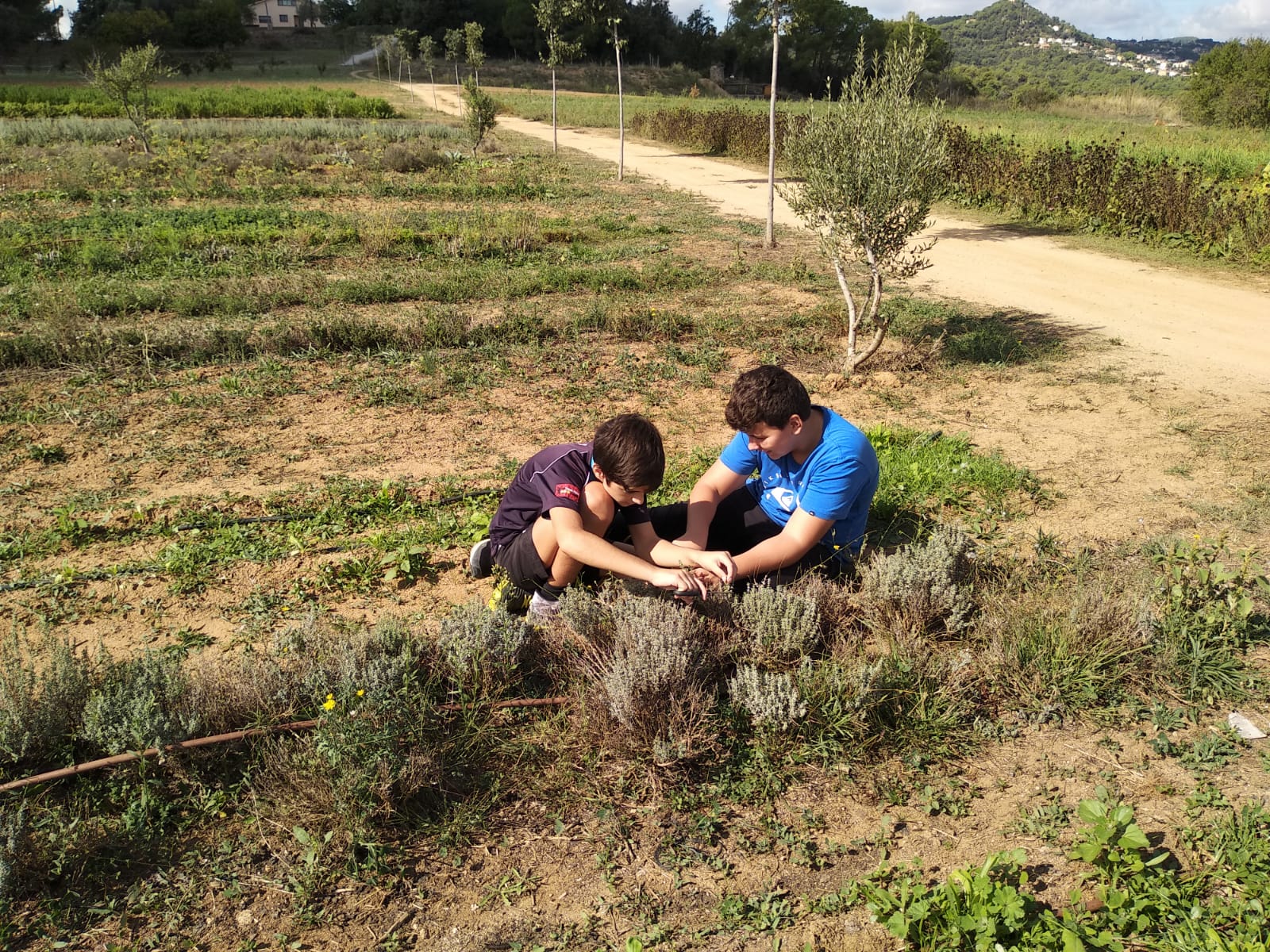 WhatsApp Image 209-10-04 at 19.37.22