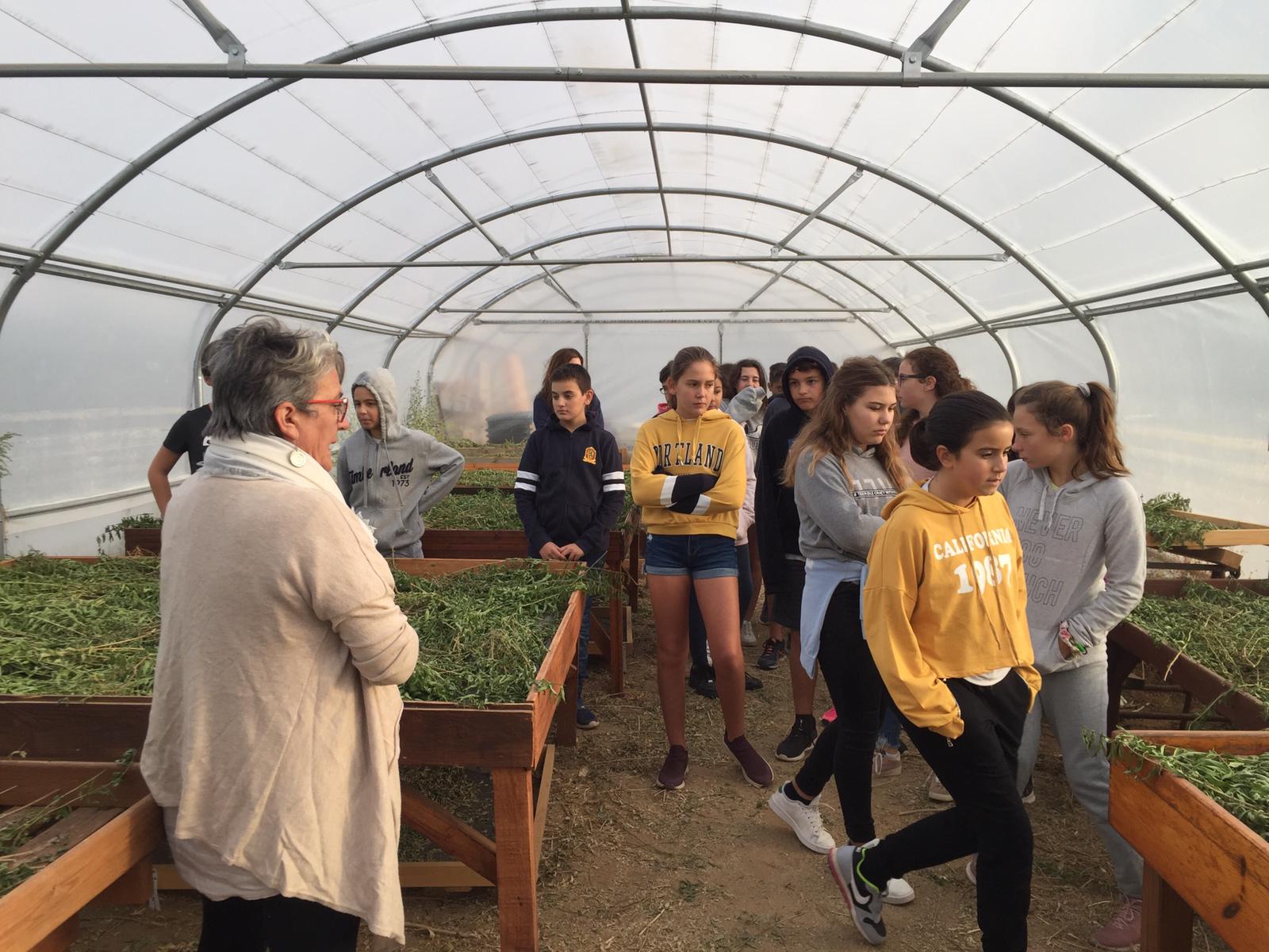 WhatsApp Image019-10-04 at 19.37.37