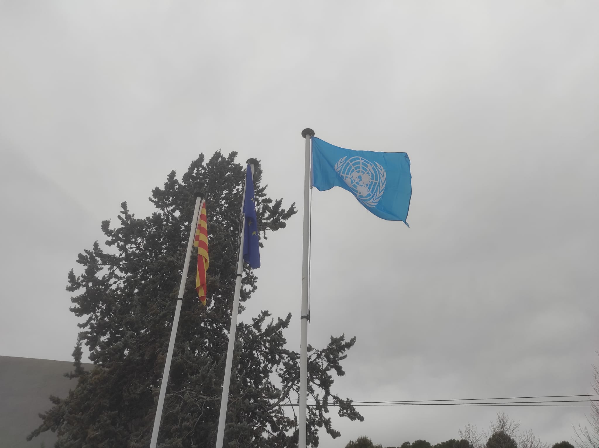 WhatsApp Image 2022-03-02 at 10.32.26