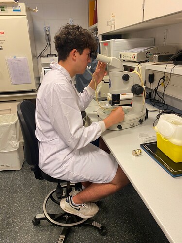 bbc45f15-1776-485e-b262-4b521e554e4d