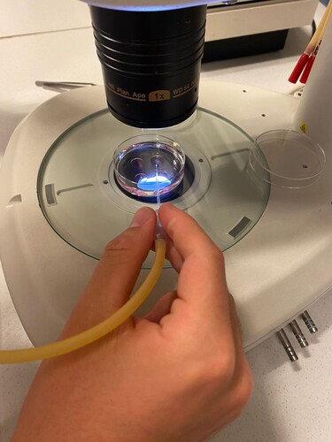 eb70305f-e198-4258-aded-1500189693ab