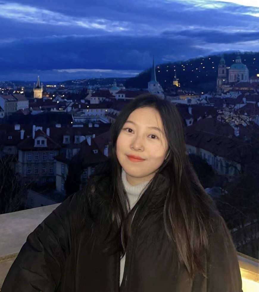 Lu Gao, auxiliar de conversa