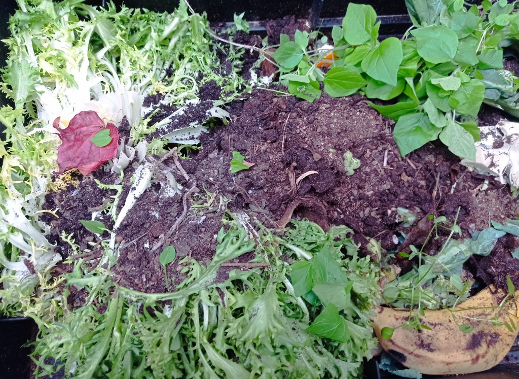 Captura de pantalla 2024-02-14 092839