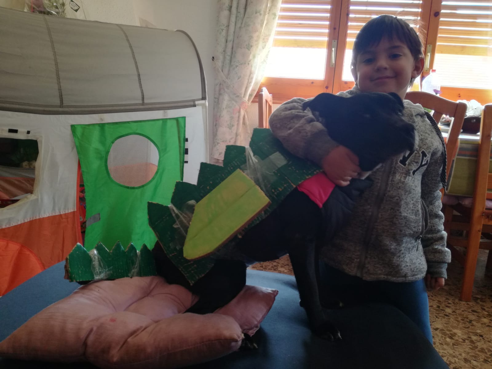 L'Ares de P4 ha fet una disfressa de drac per al seu gos