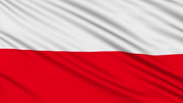 depositphotos_12542950-stock-video-polish-flag-with-real-structure