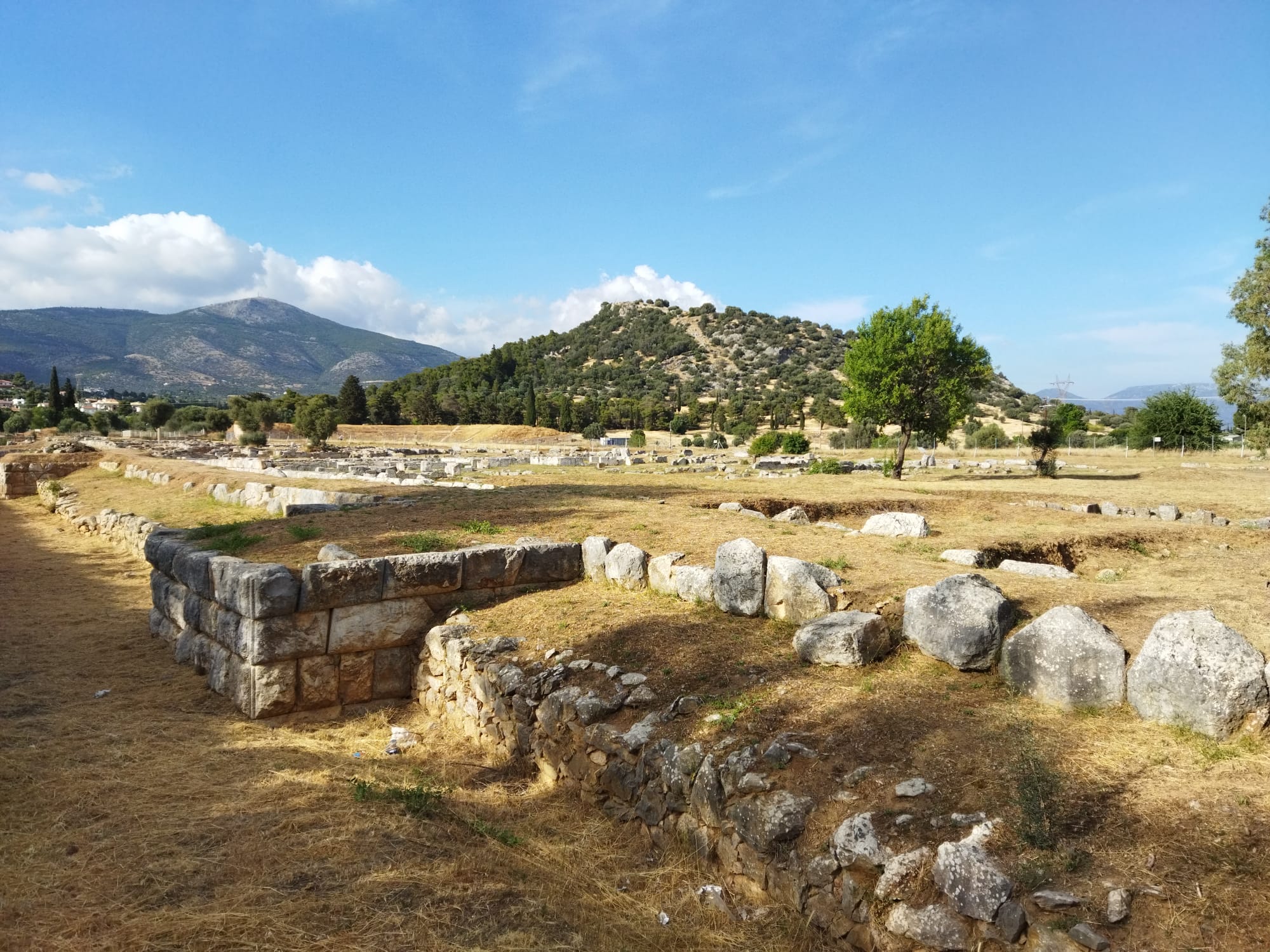 WhatsApp Image 2024-05-28 at 22.19.23