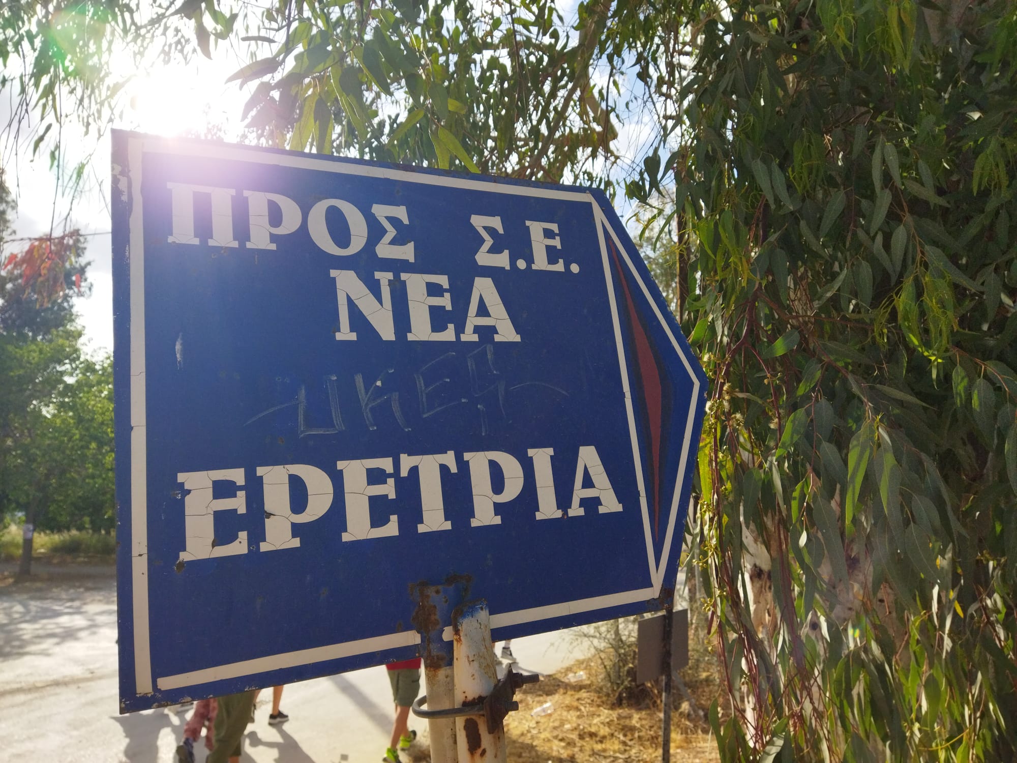 WhatsApp Image 2024-05-28 at 22.19.29 (1)