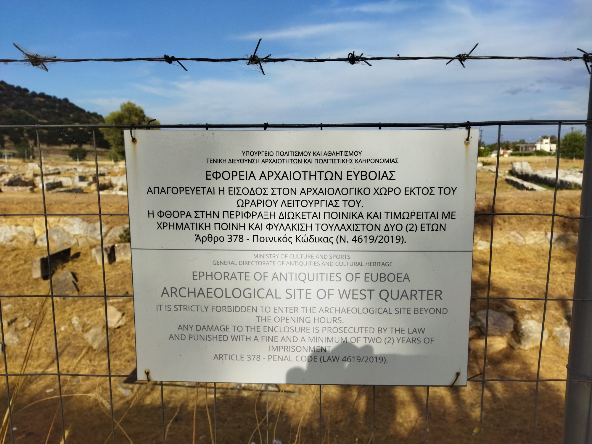 WhatsApp Image 2024-05-28 at 22.19.29