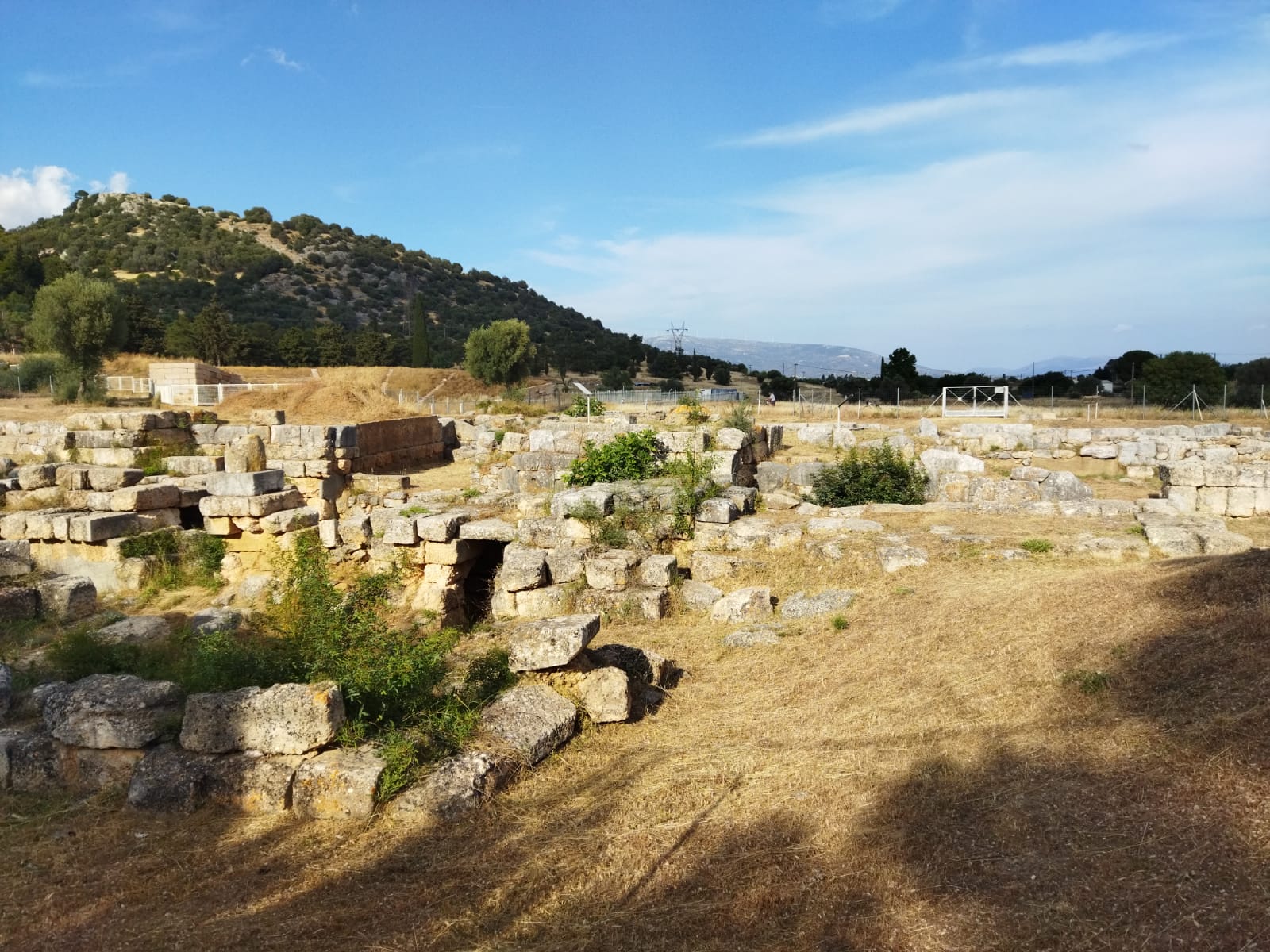 WhatsApp Image 2024-05-28 at 22.19.30 (1)