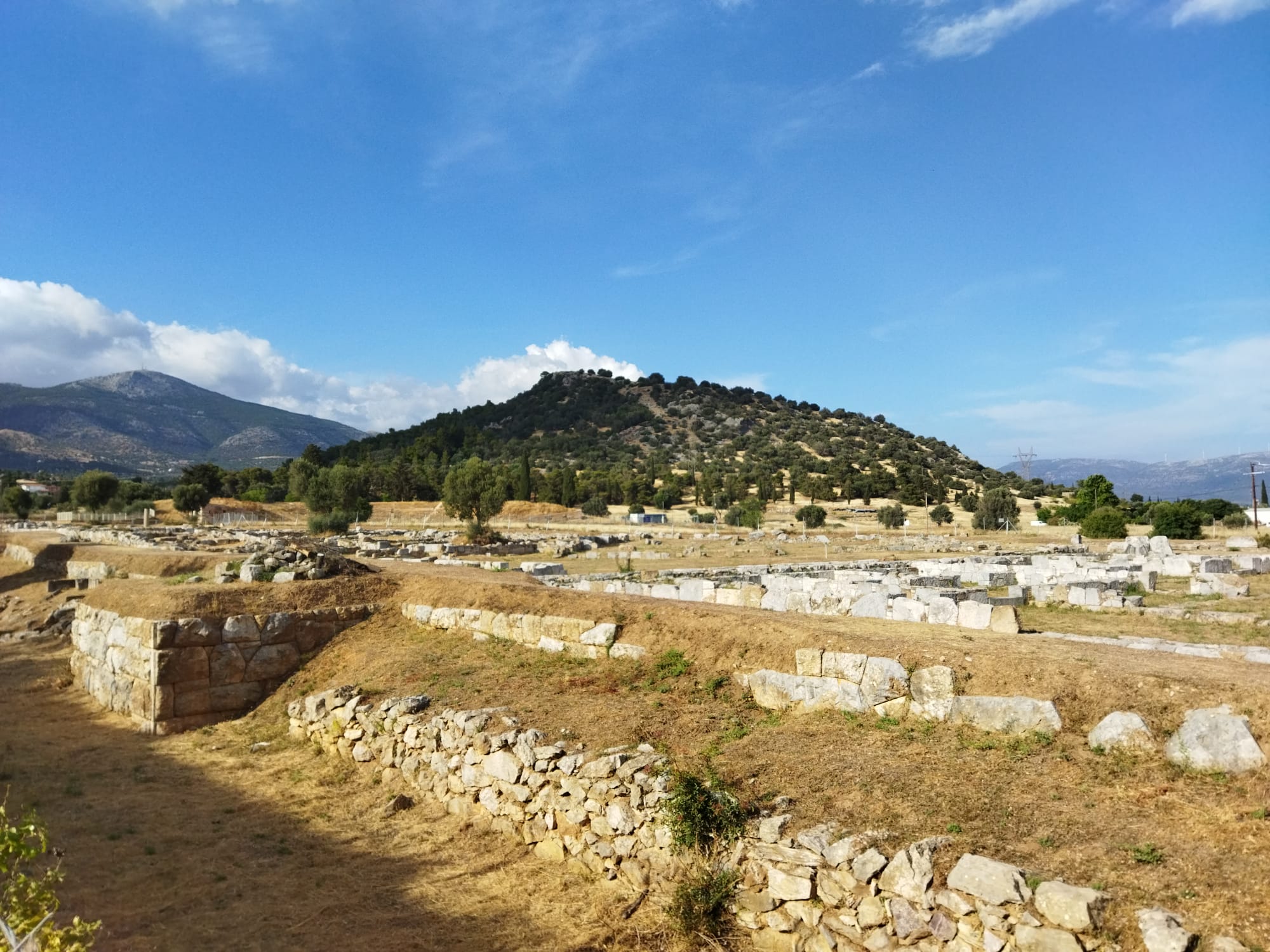 WhatsApp Image 2024-05-28 at 22.19.30