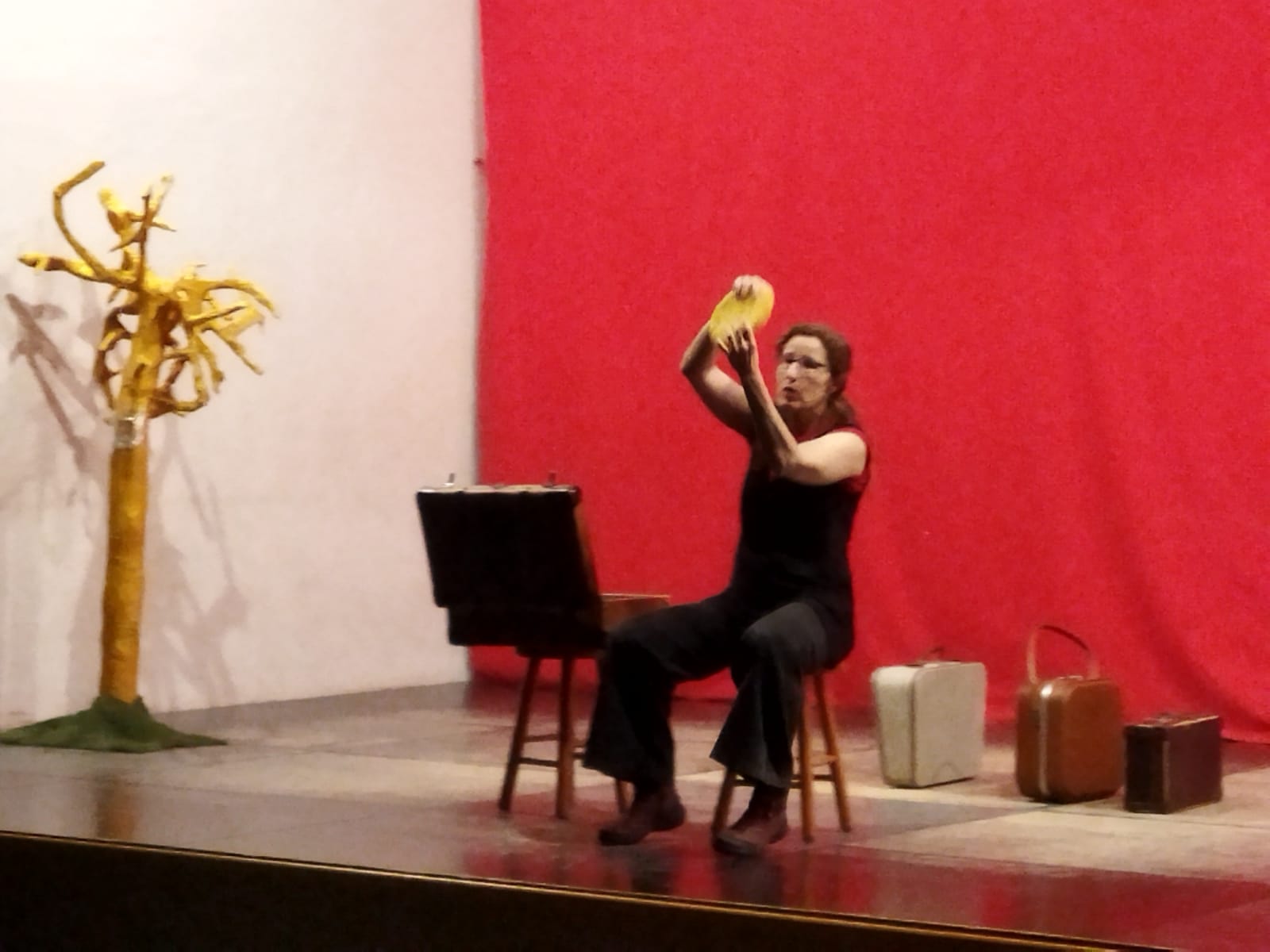 WhatsApp Image 2024-11-24 at 22.55.28