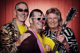 Elsctric Banana Band