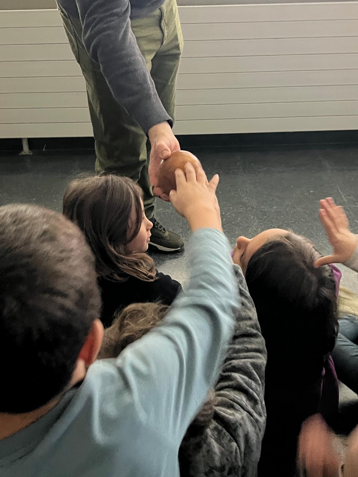 WhatsApp Image 2025-01-29 at 13.24.09