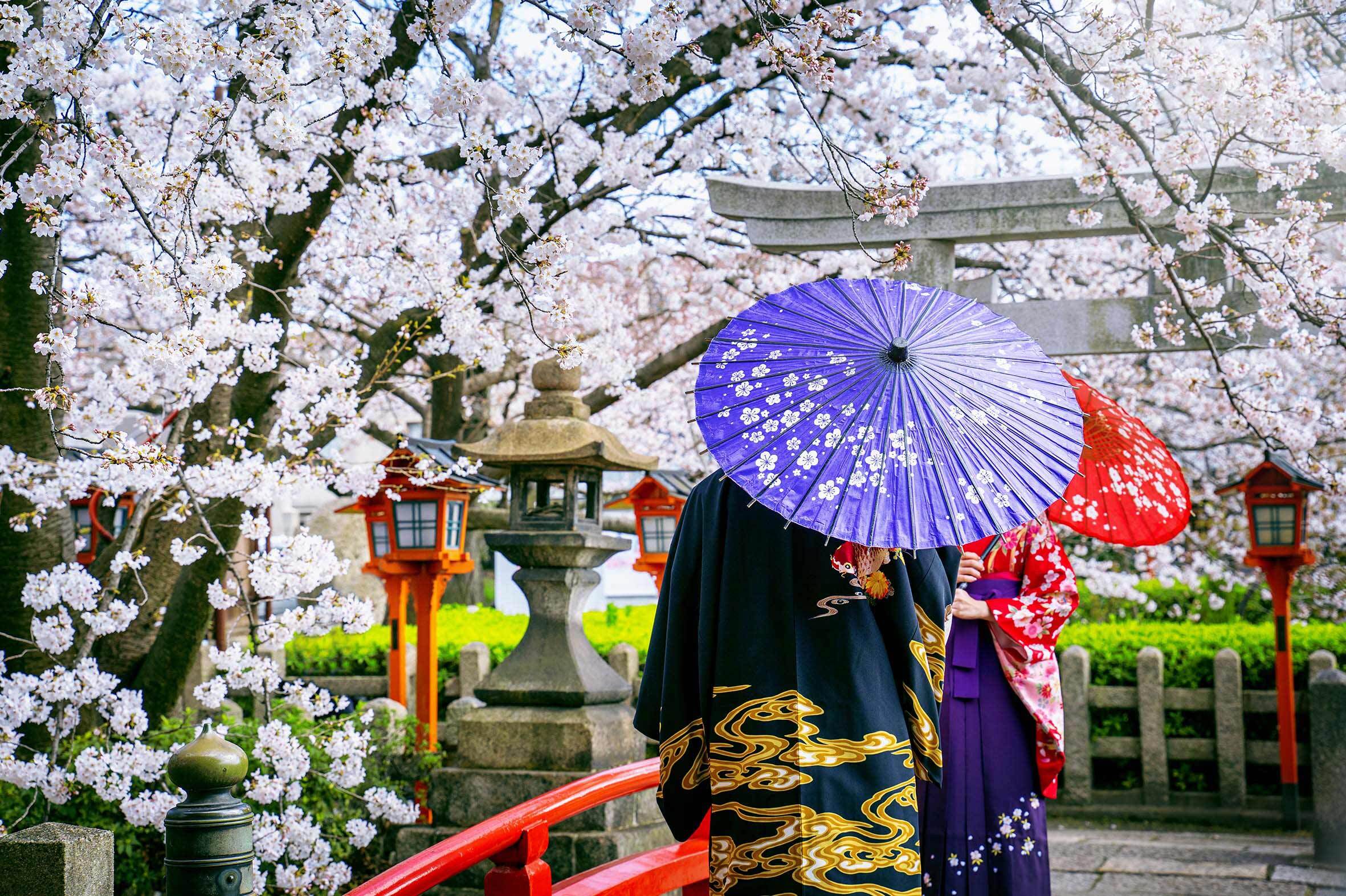 blackpepper-galeria-viajes-japon-0004-turista-vistiendo-kimono-tradicional-japones-flor-cerezo-primavera-templo-kyoto-ja-2x-1181x786