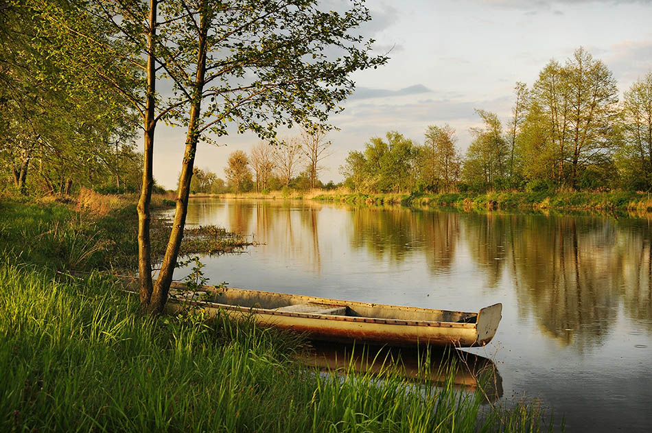 904a7418ac7f3c2b43a7ea70b6435f33_max