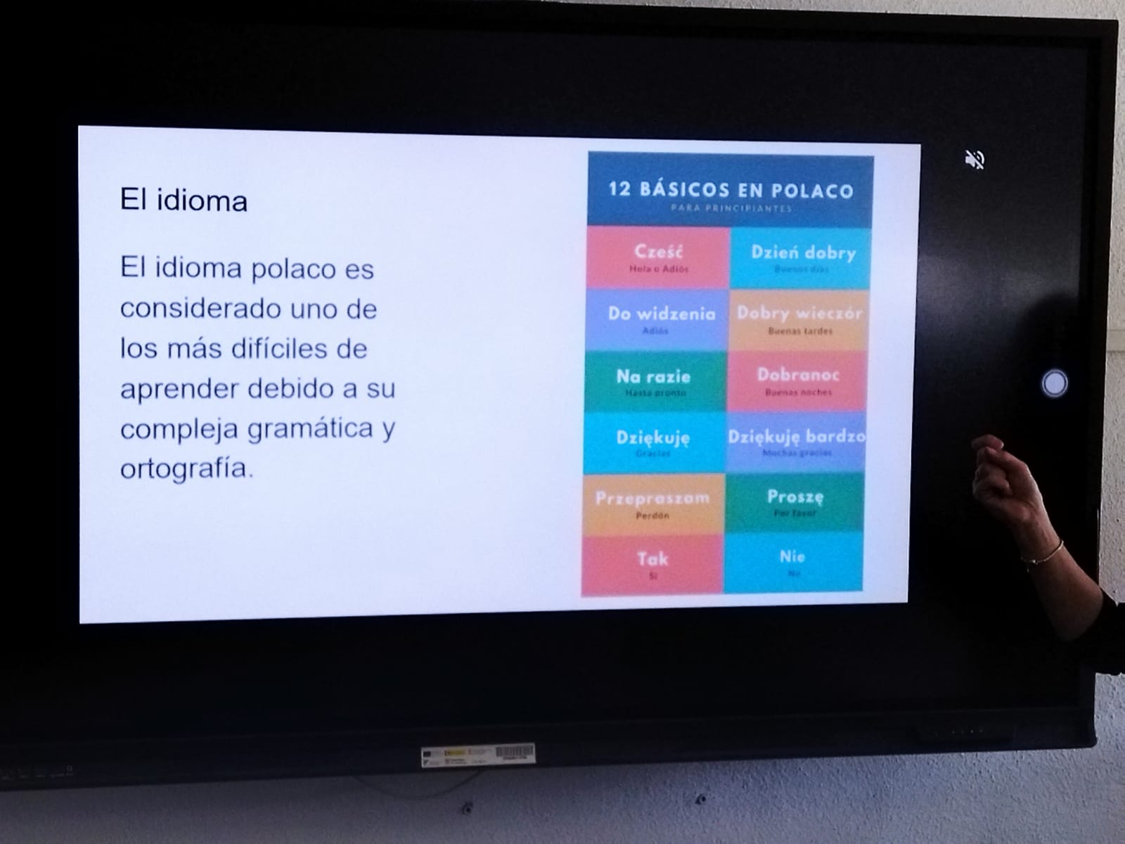 WhatsApp Image 2025-04-10 at 17.38.45