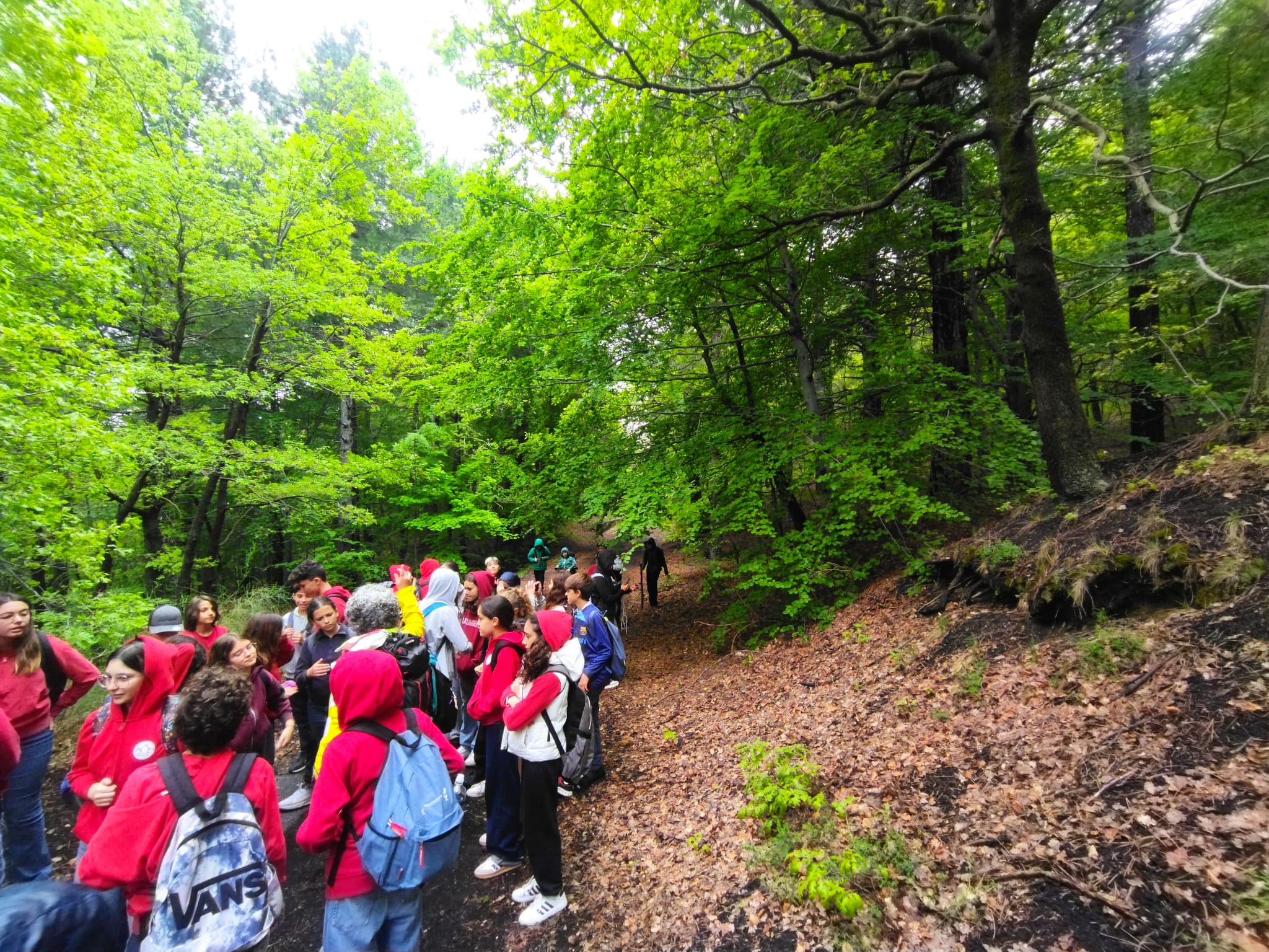 WhatsApp Image 2025-05-25 at 19.12.08 (1)