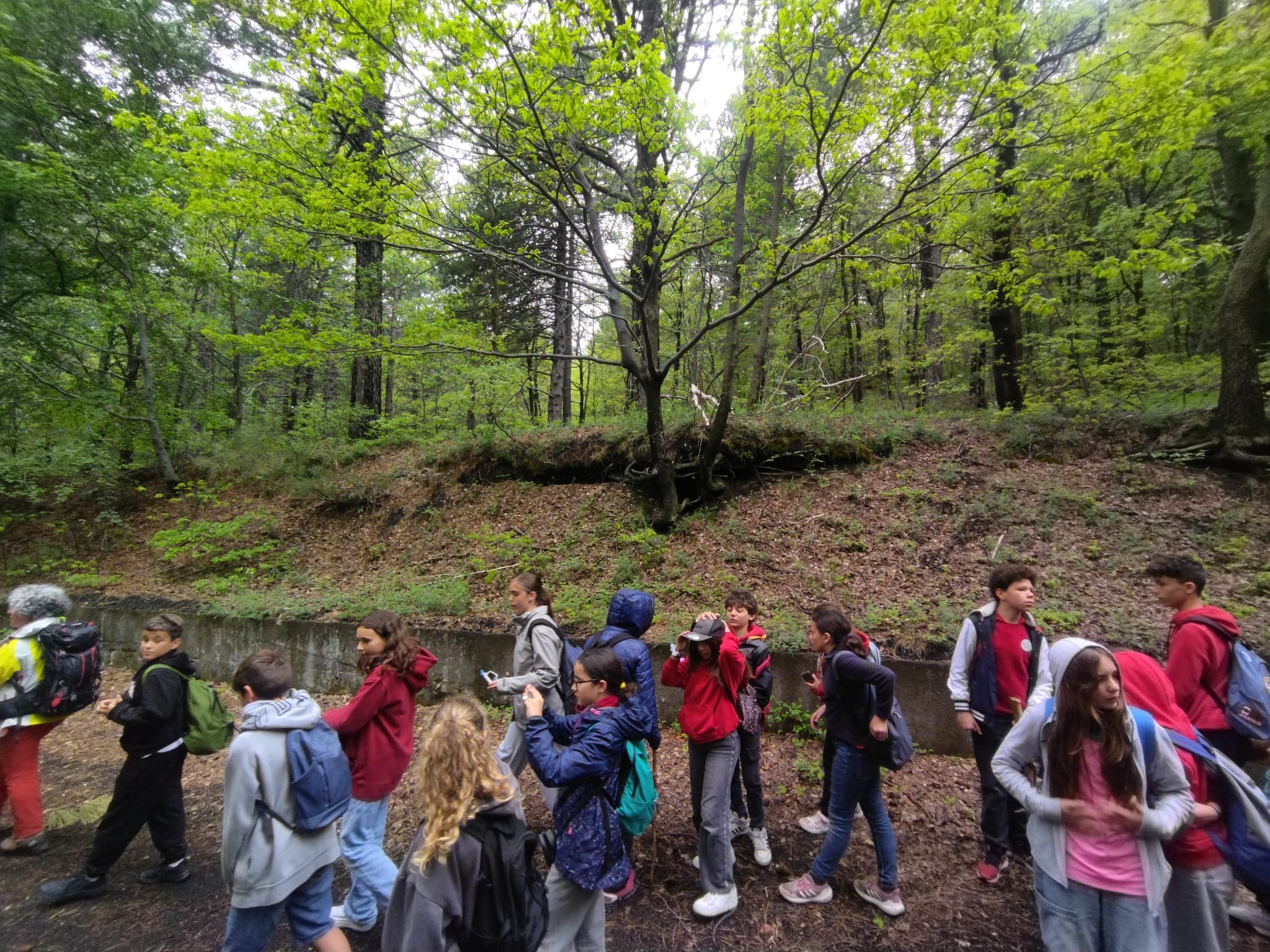 WhatsApp Image 2025-05-25 at 19.12.08 (2)