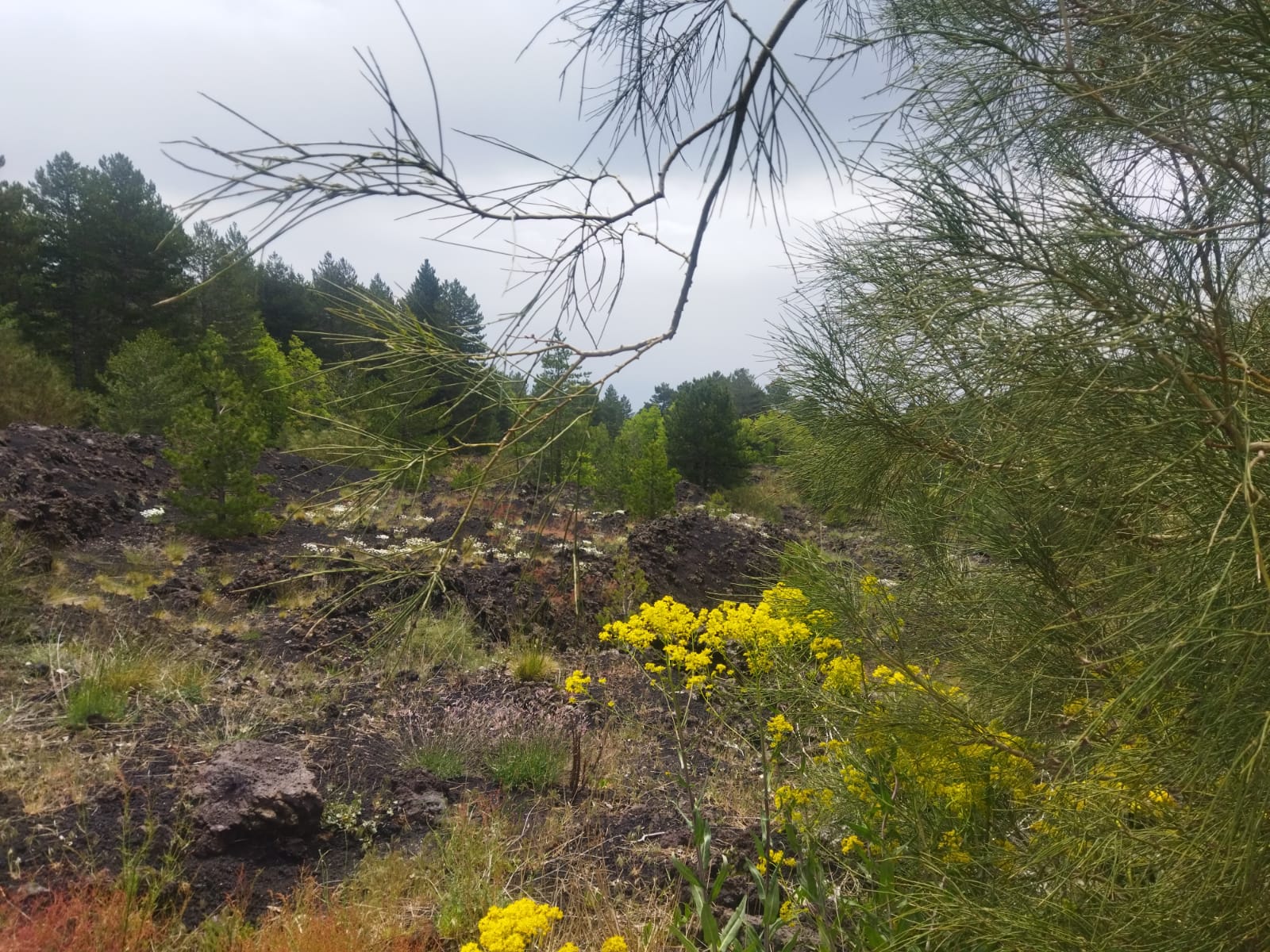 WhatsApp Image 2025-05-25 at 19.12.08