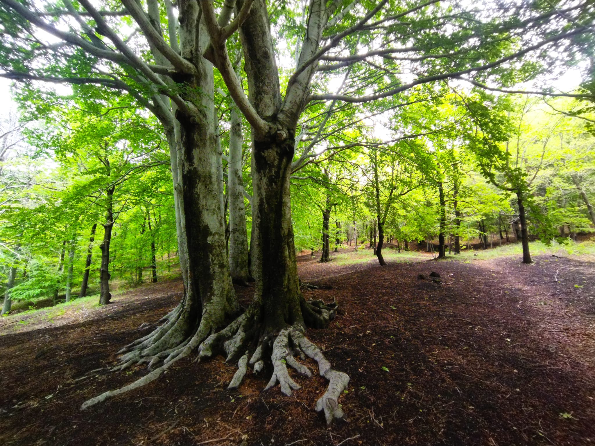 WhatsApp Image 2025-05-25 at 19.12.09