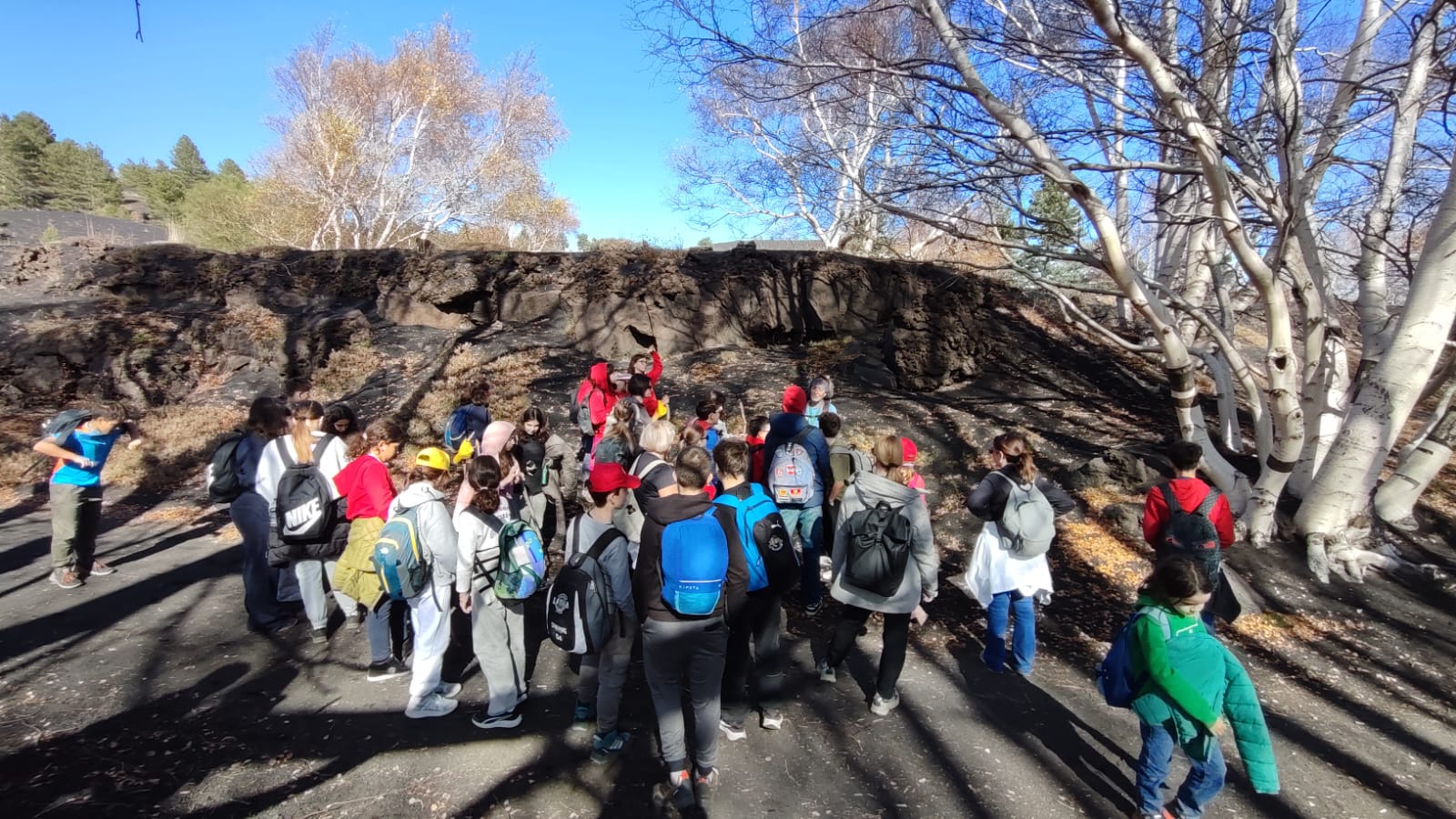 WhatsApp Image 2025-11-13 at 14.29.33