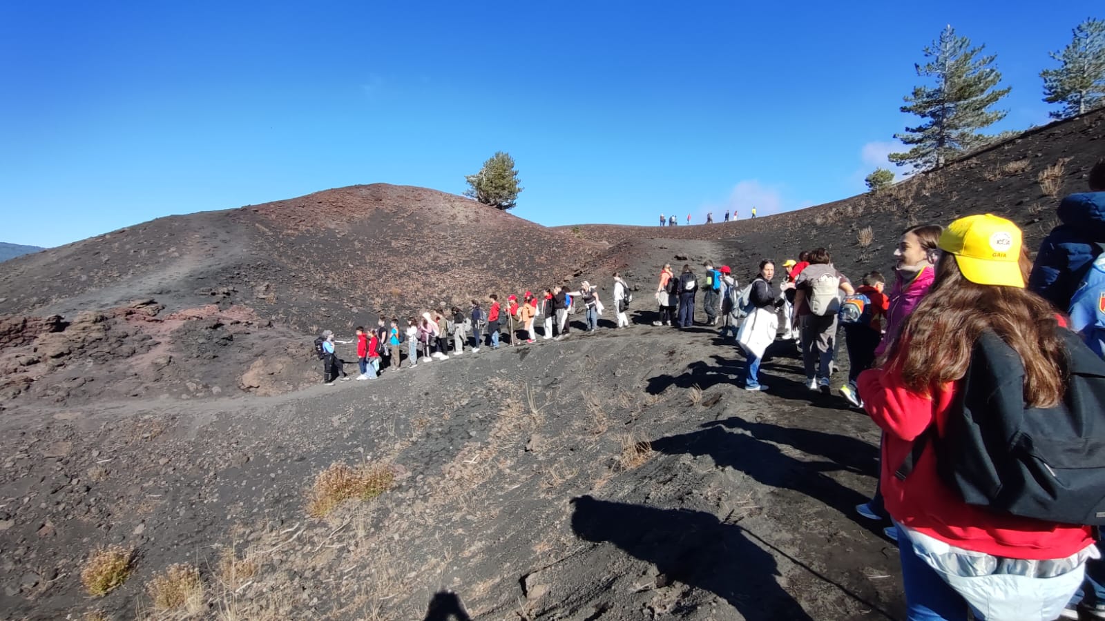 WhatsApp Image 2025-11-13 at 14.29.42