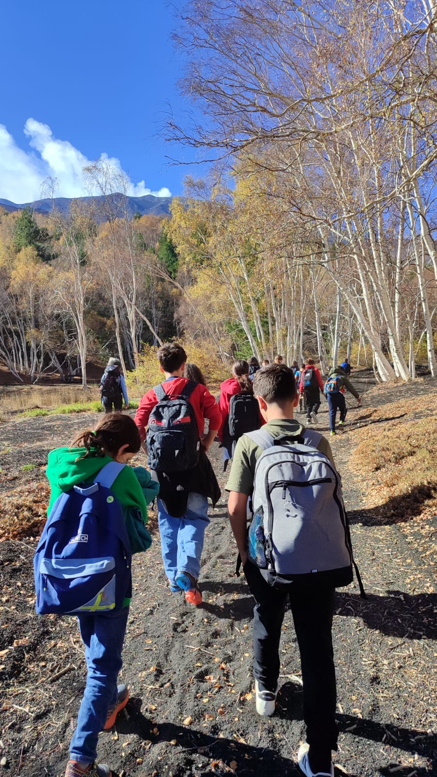 WhatsApp Image 2025-11-13 at 14.29.43