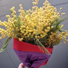 WhatsApp Image 2026-01-28 at 11.05.28 (4)