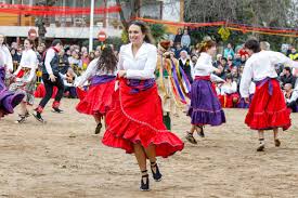 WhatsApp Image 2026-01-28 at 11.05.28 (5)