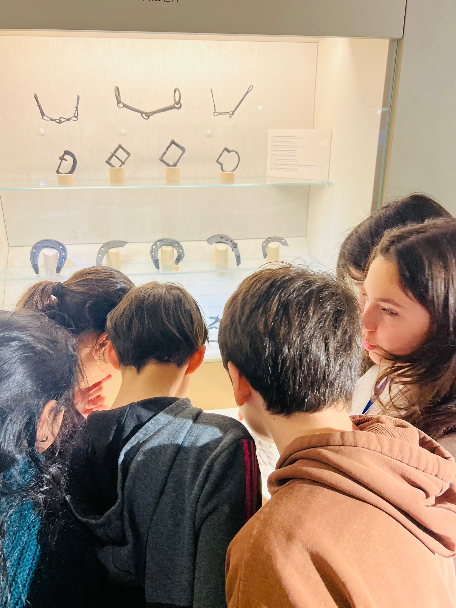 WhatsApp Image 2026-03-10 at 17.19.54