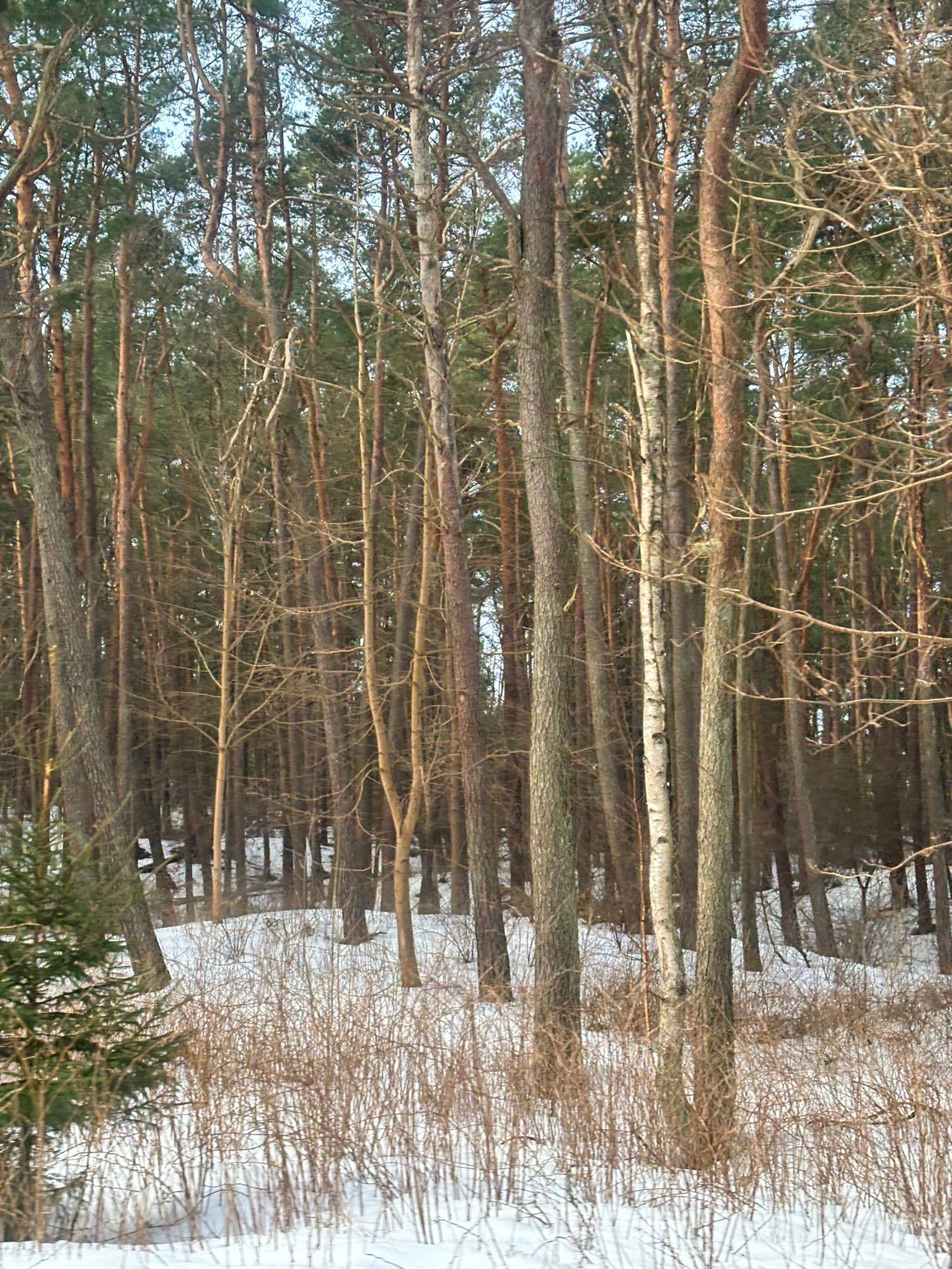 WhatsApp Image 2026-03-11 at 10.04.17