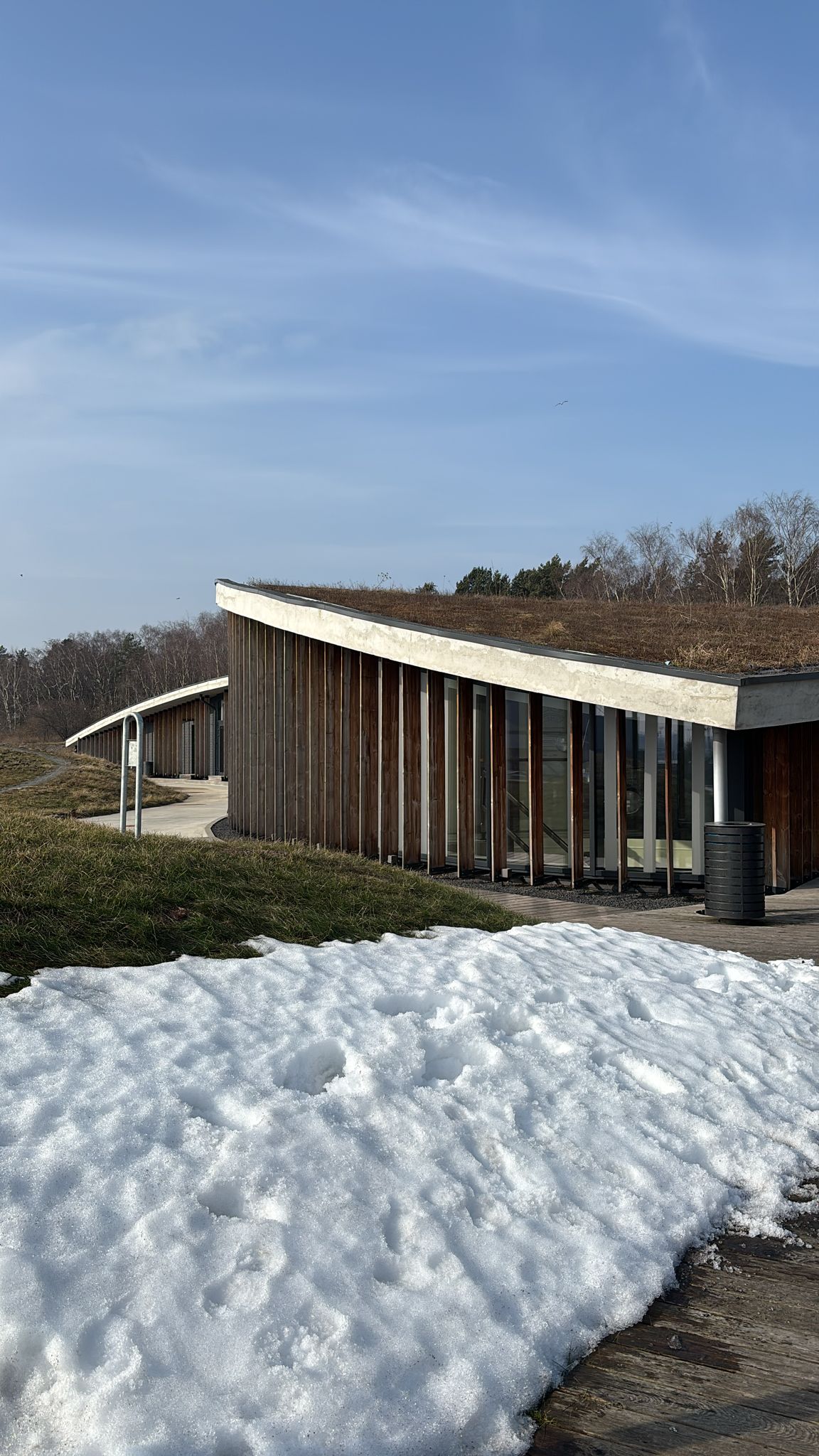 WhatsApp Image 2026-03-11 at 10.07.59