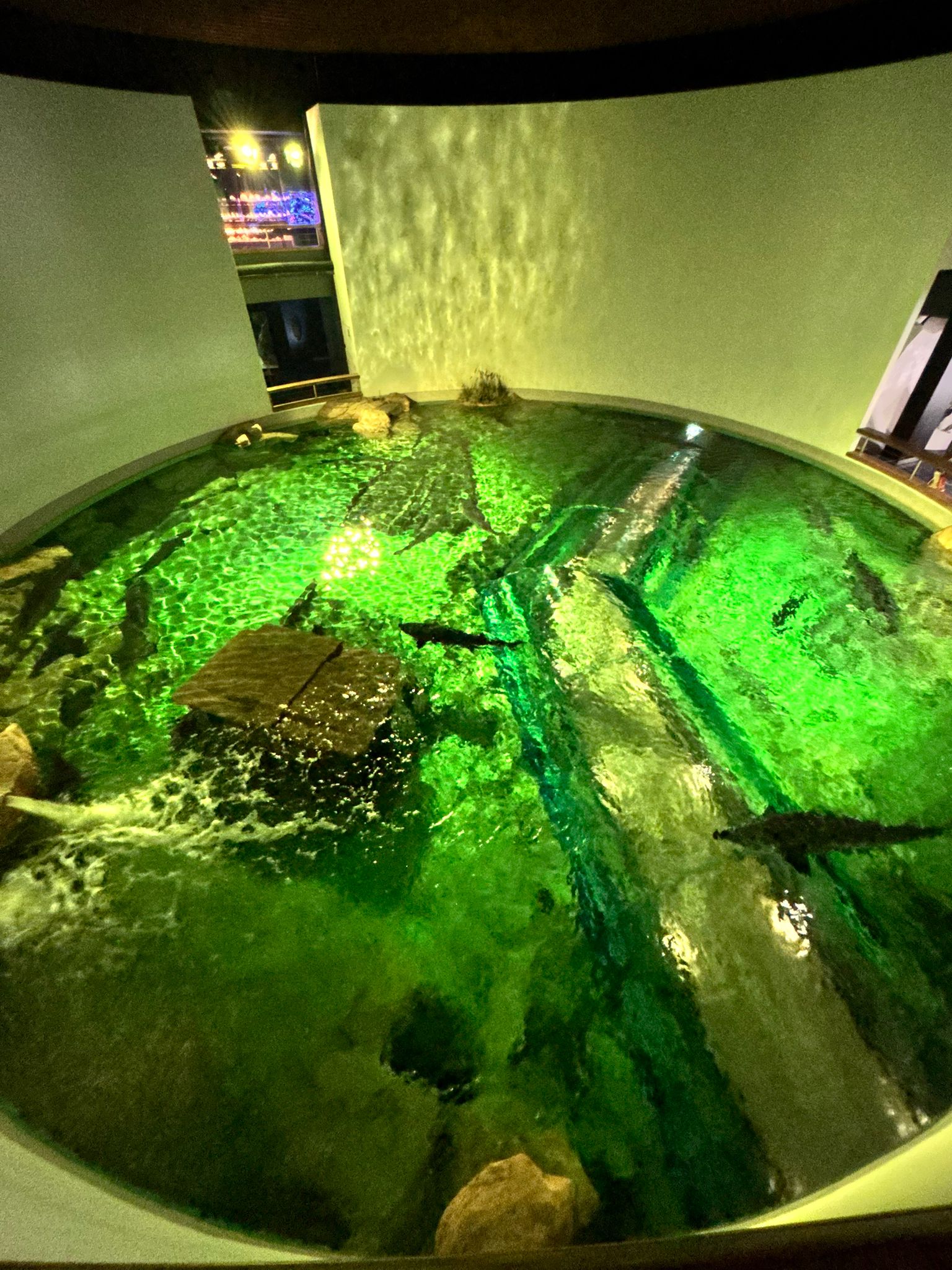 WhatsApp Image 2026-03-11 at 10.35.35