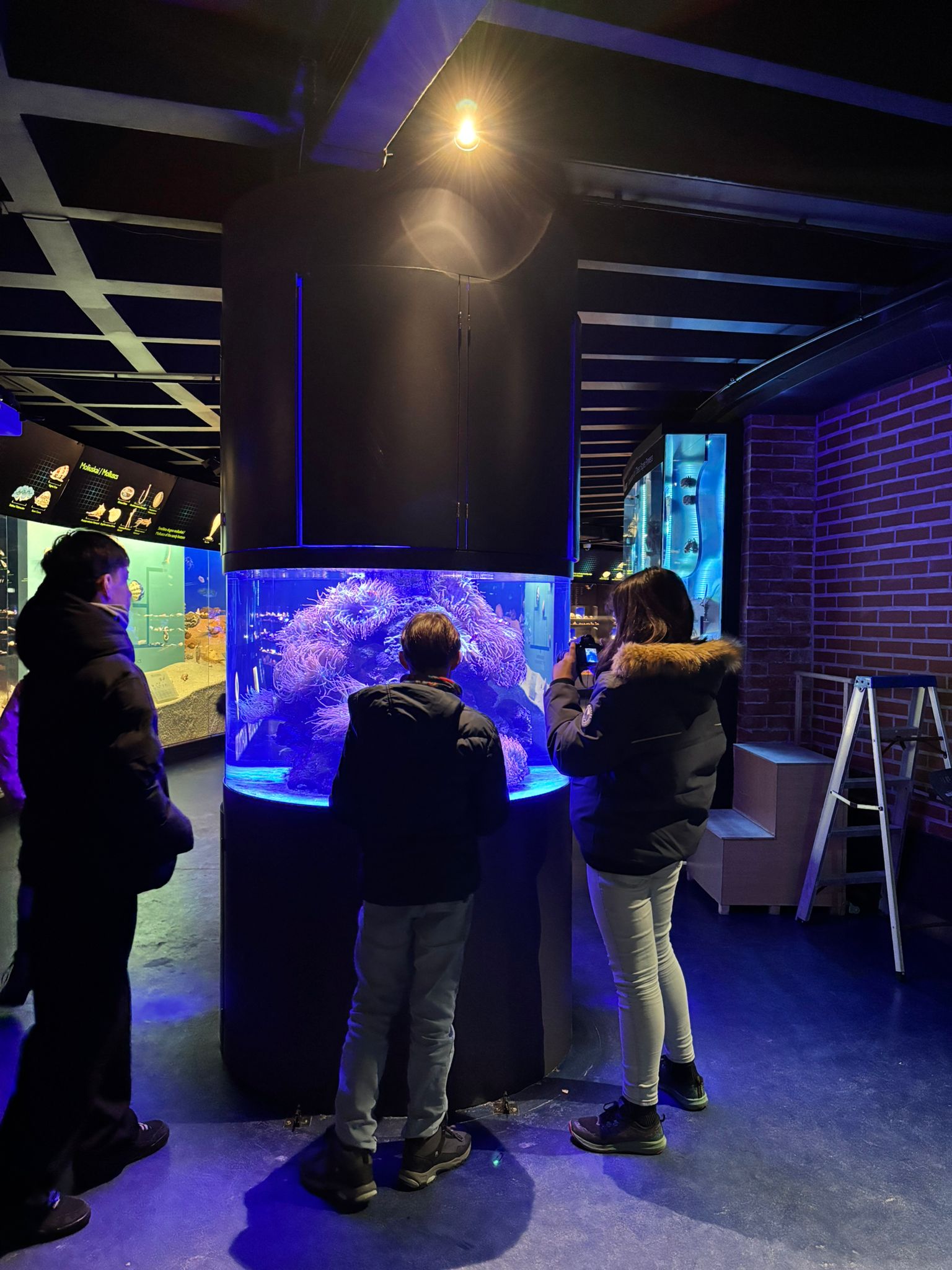 WhatsApp Image 2026-03-11 at 10.35.36 (1)