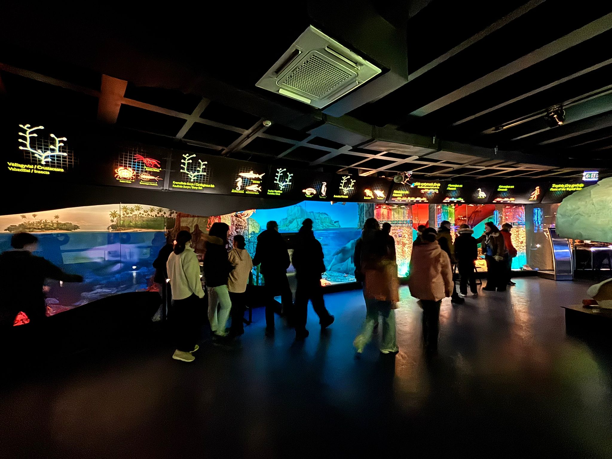 WhatsApp Image 2026-03-11 at 10.35.36