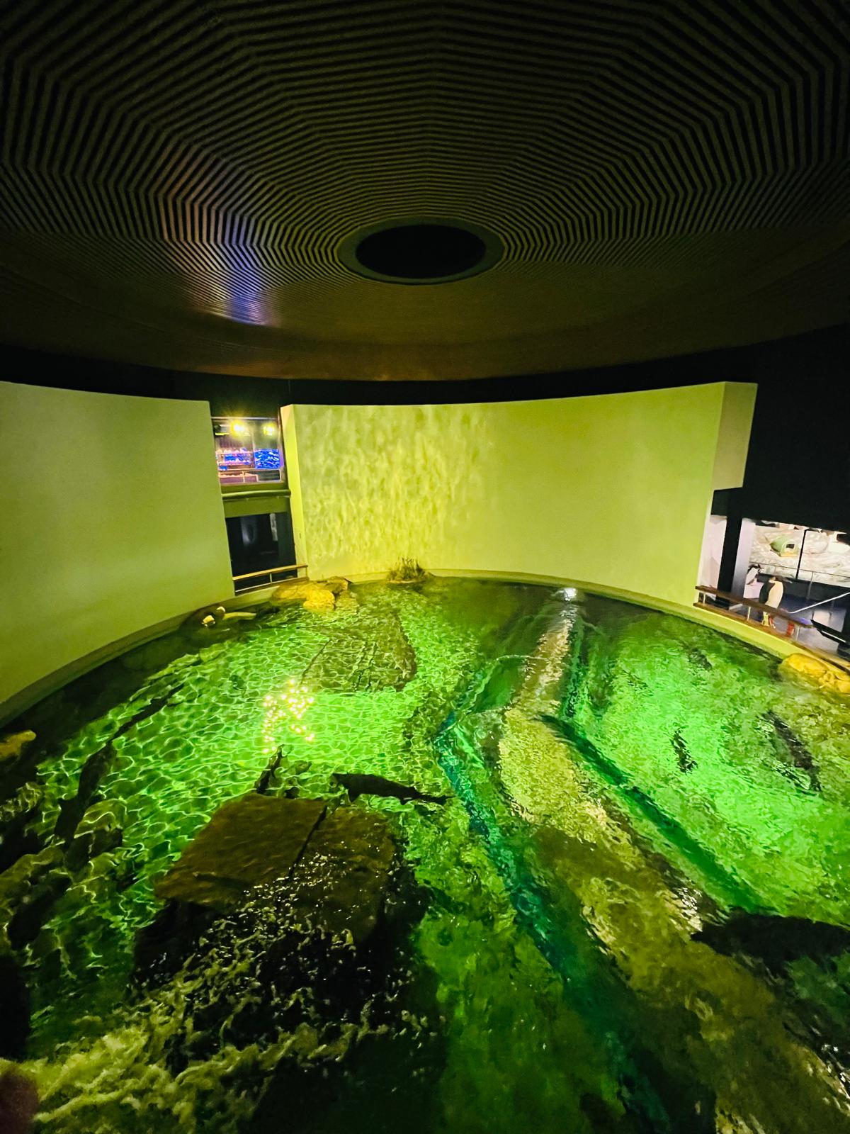 WhatsApp Image 2026-03-11 at 10.35.42