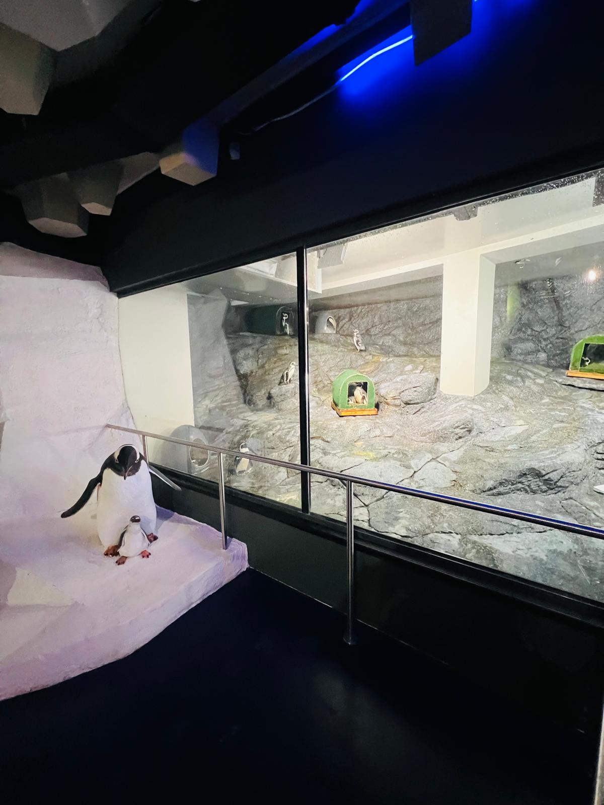 WhatsApp Image 2026-03-11 at 10.35.43