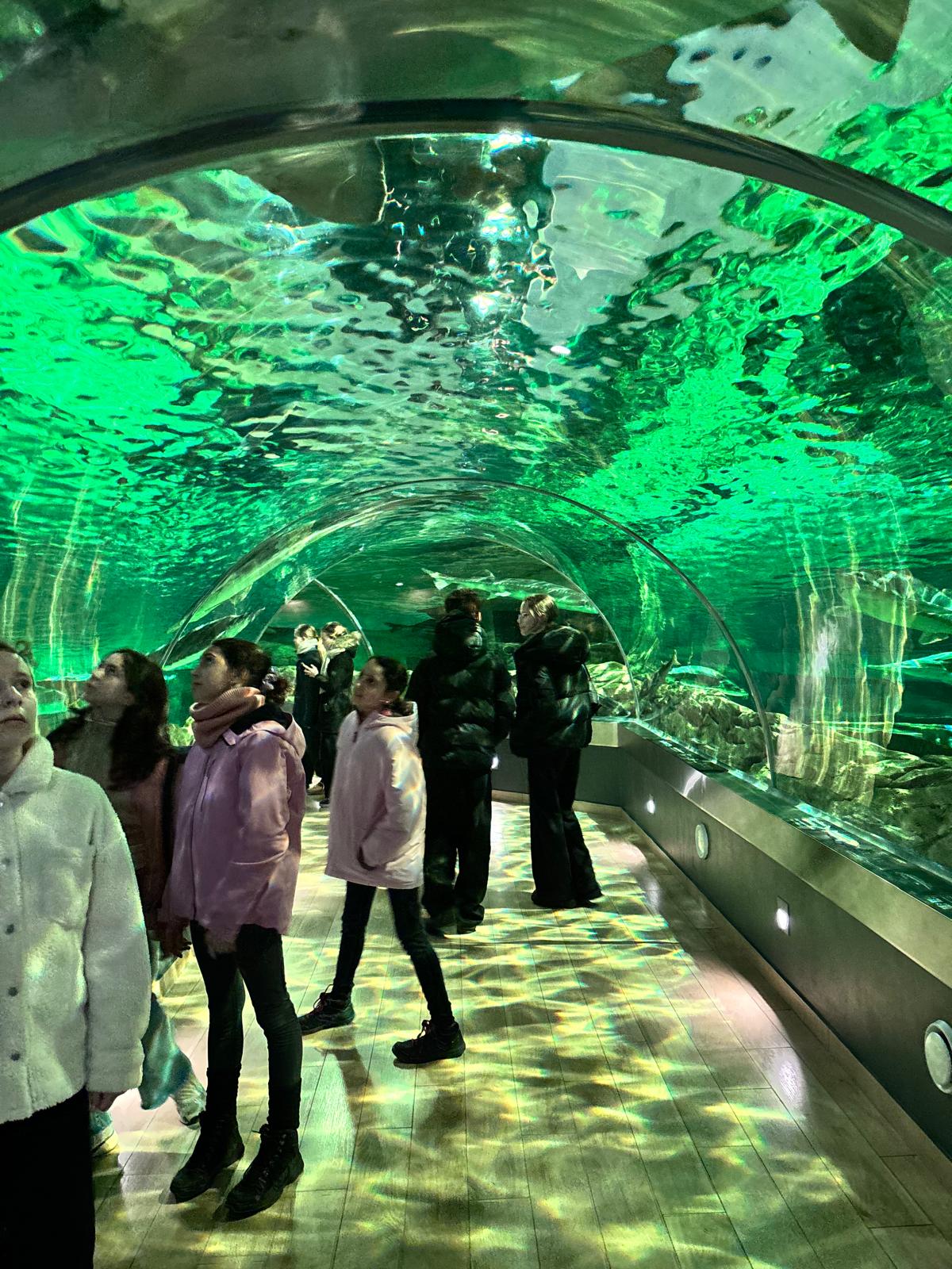 WhatsApp Image 2026-03-11 at 11.07.49