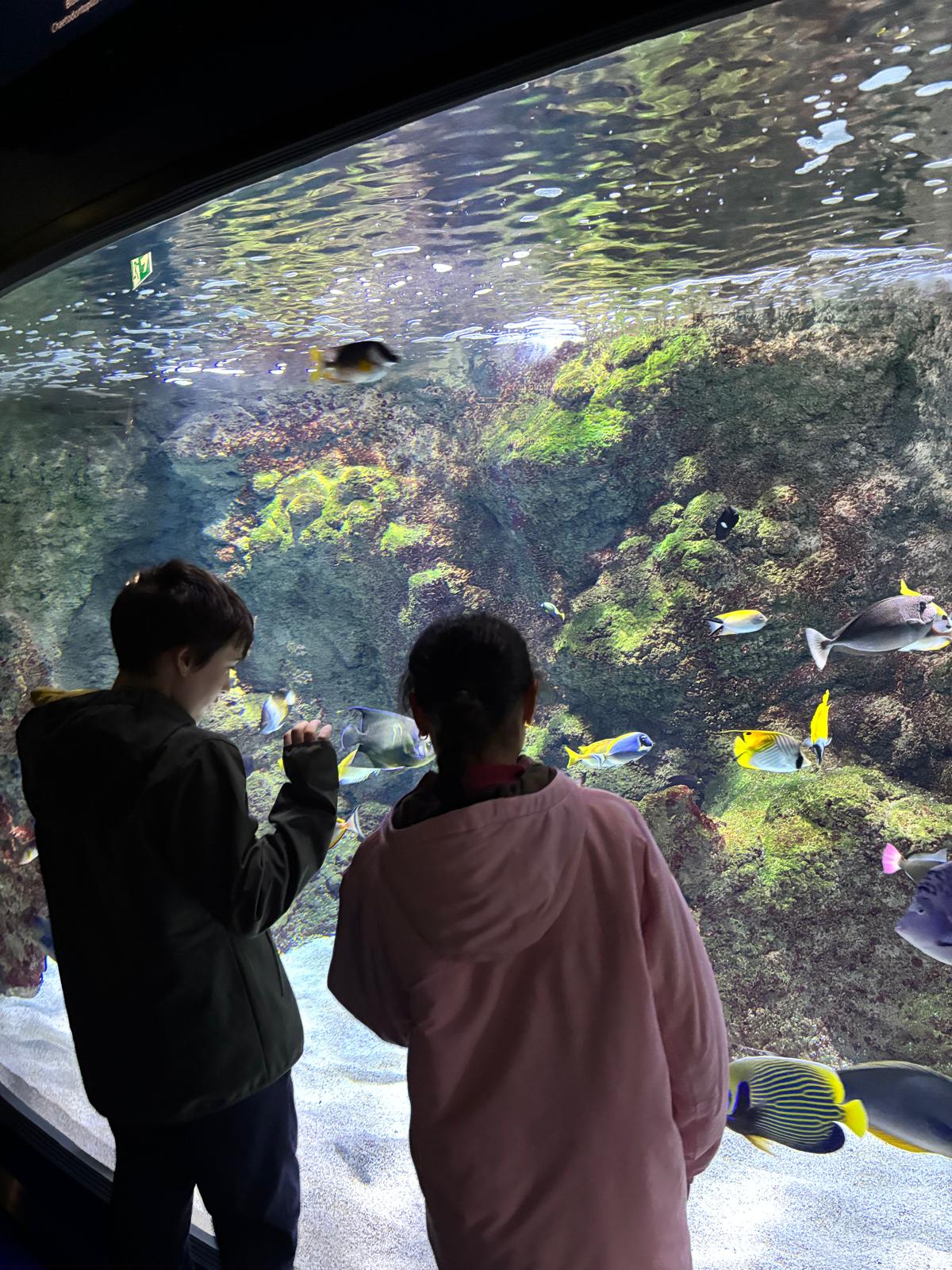 WhatsApp Image 2026-03-11 at 11.07.50