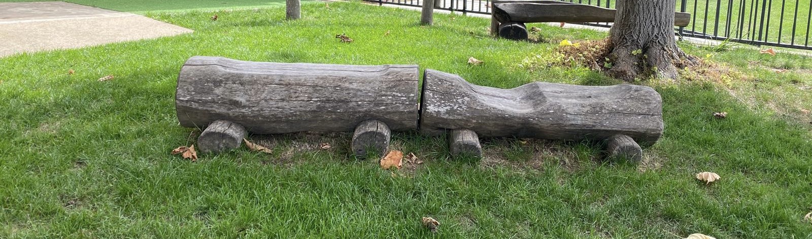 WhatsApp Image 2024-09-16 at 15.03.00