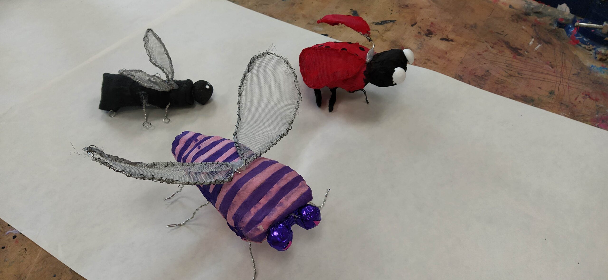Projecte STEAM insectes