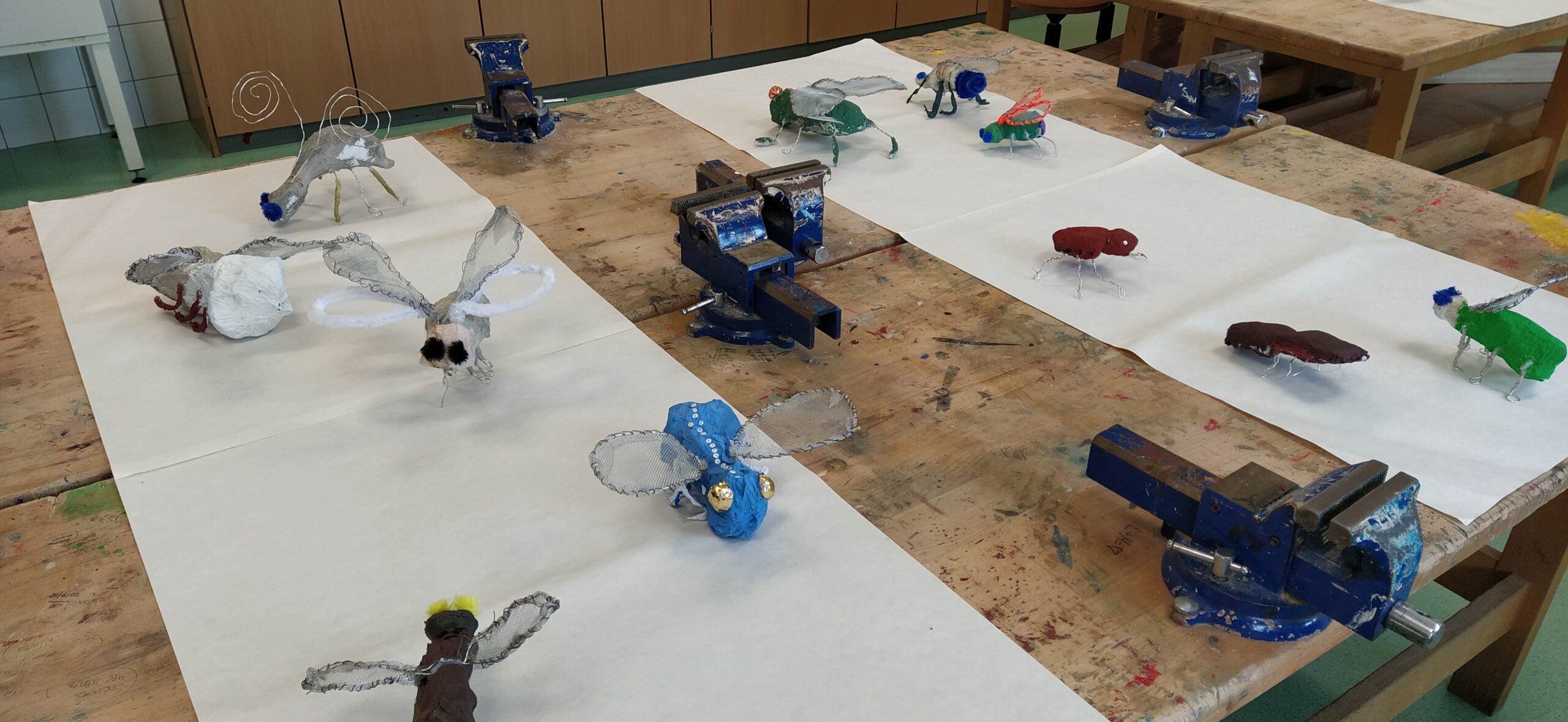 Projecte STEAM insectes