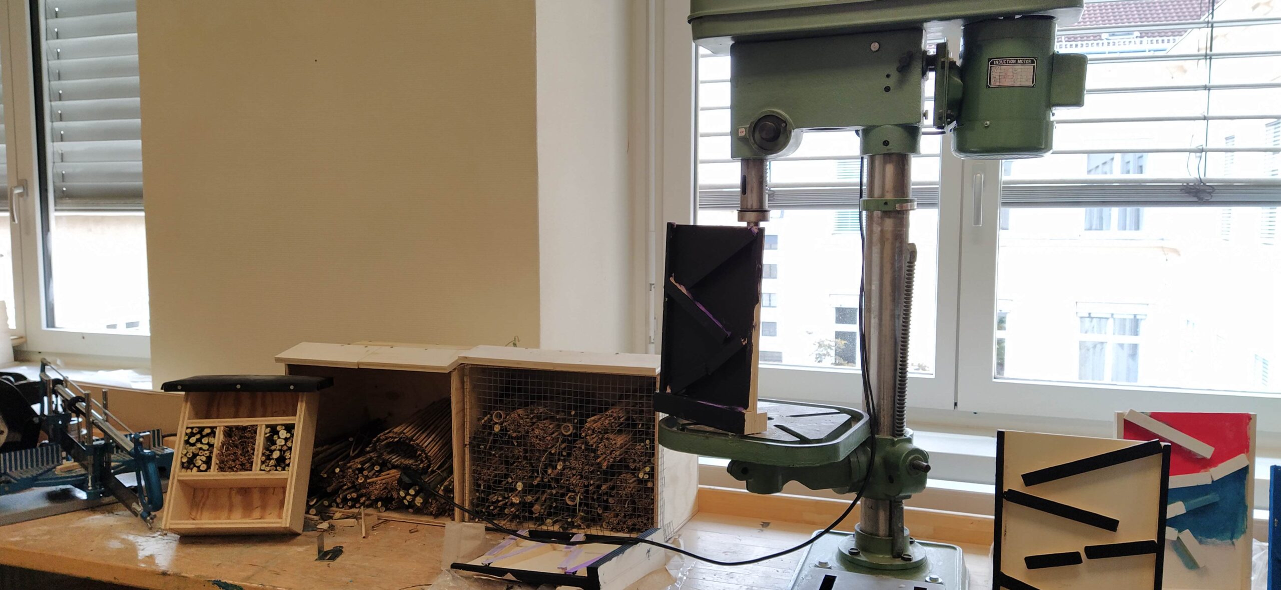 Taller i projecte STEAM sobre els insectes