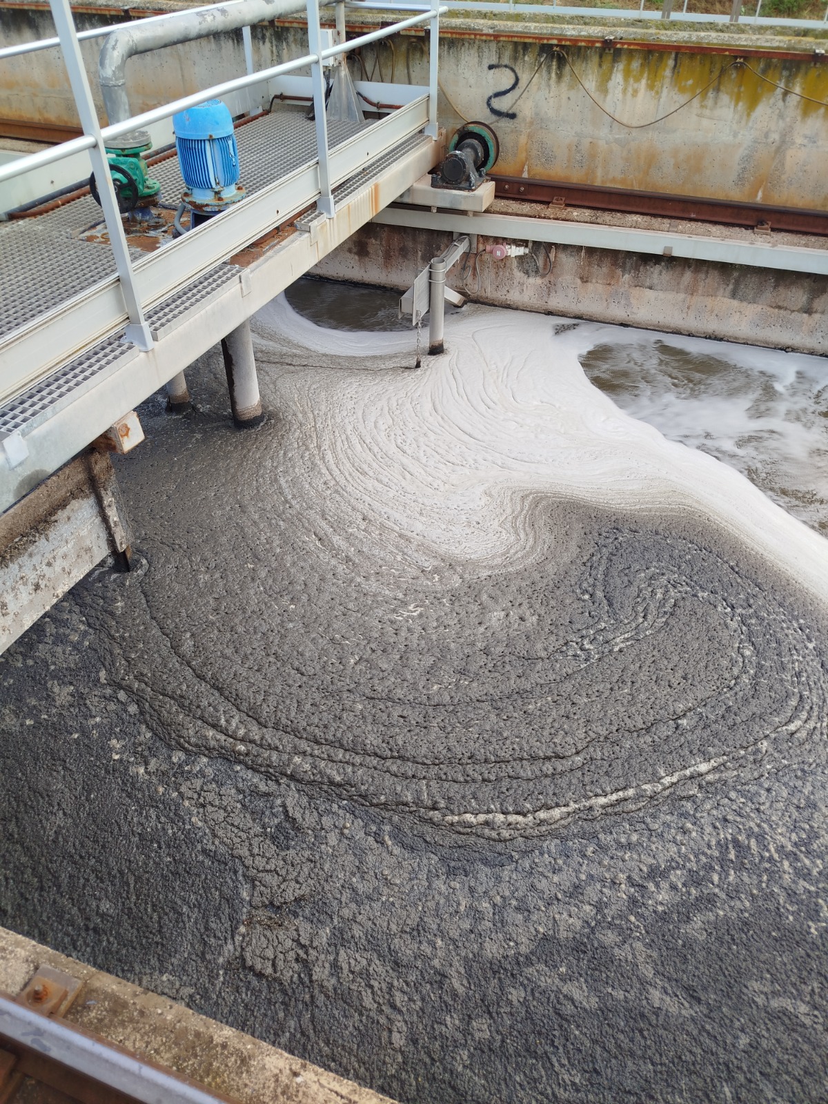 WhatsApp Image 2024-10-08 at 22.06.03 (13)