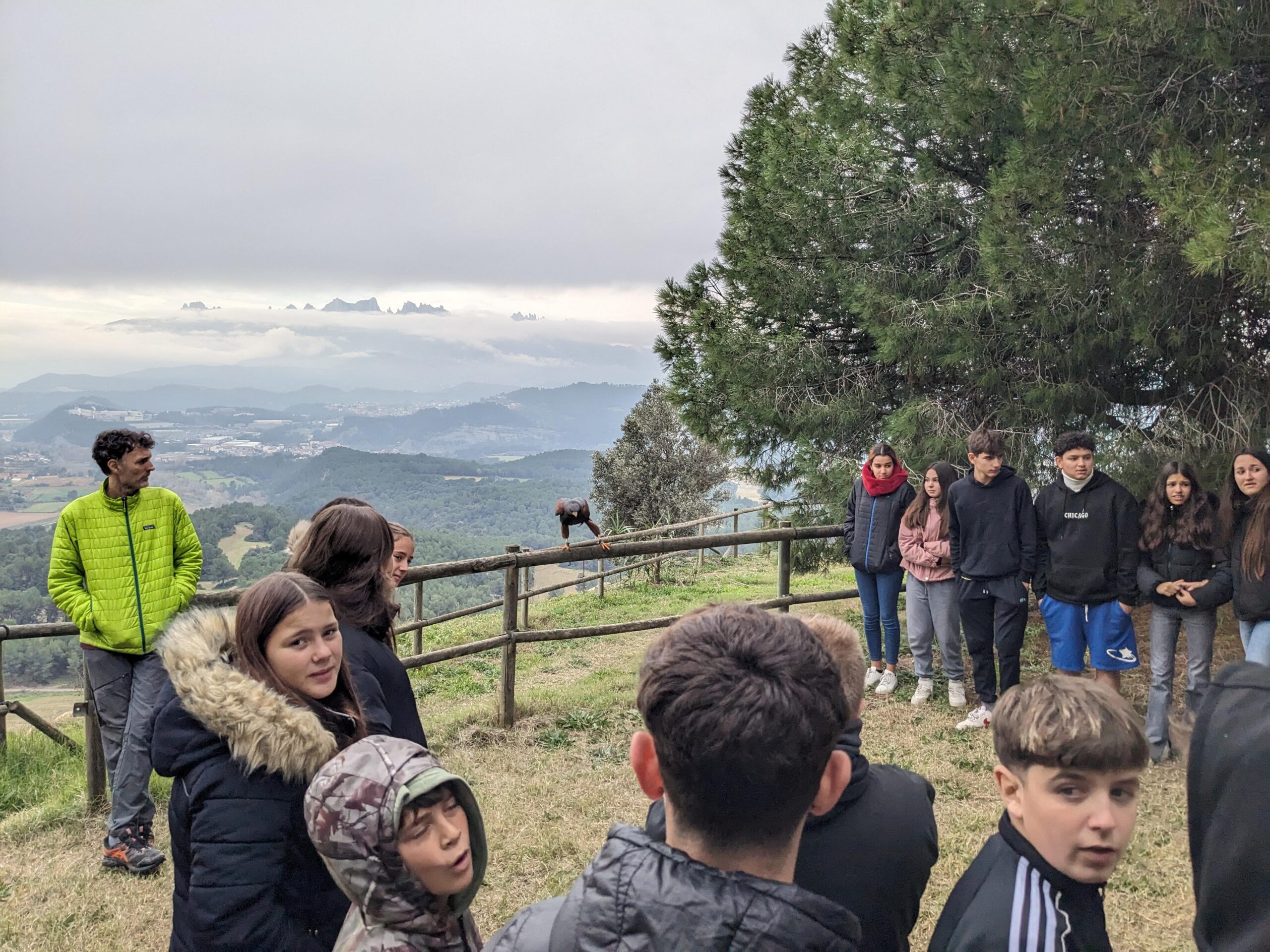 PXL_20241203_093834054.MP