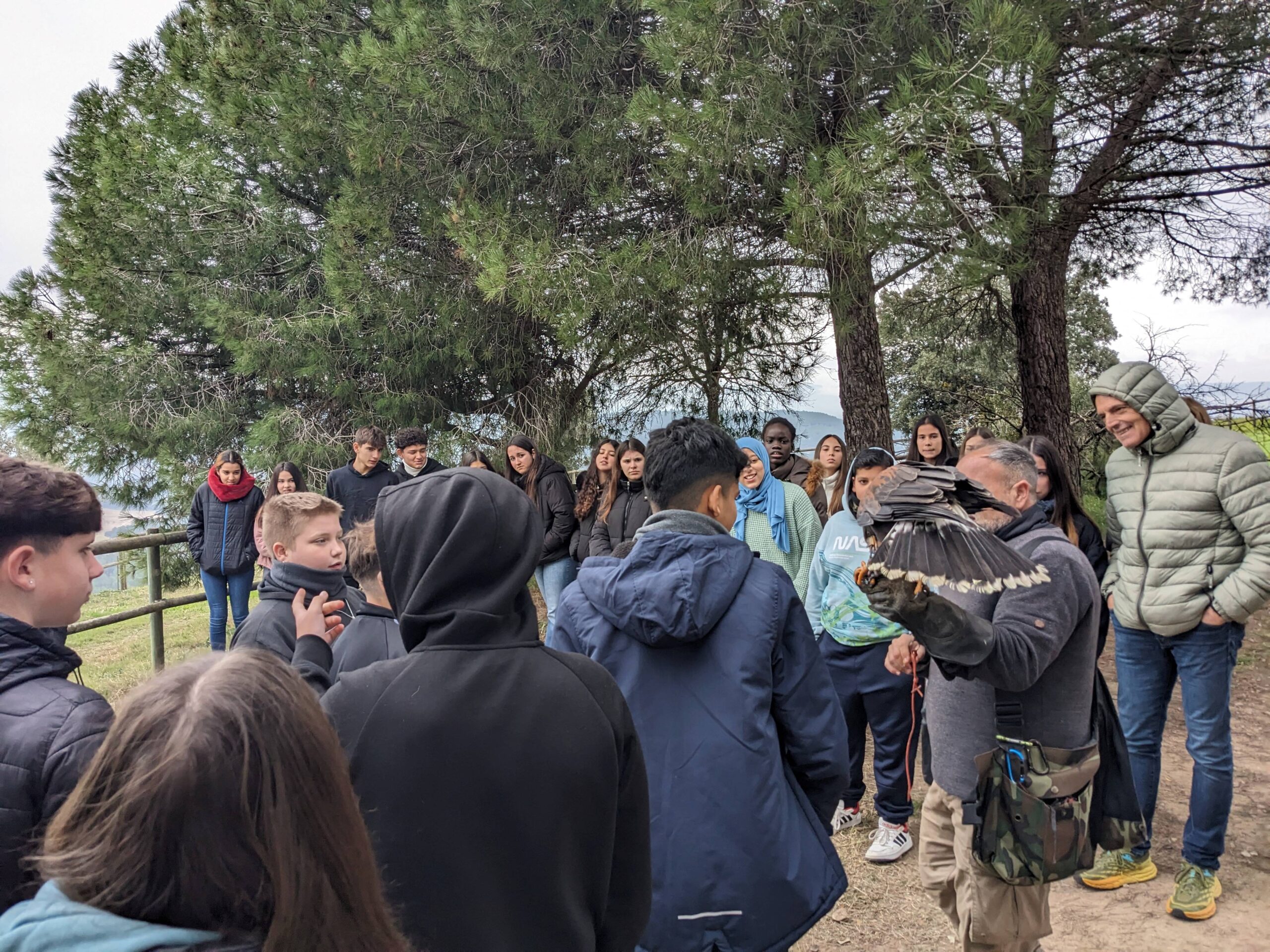 PXL_20241203_093842963