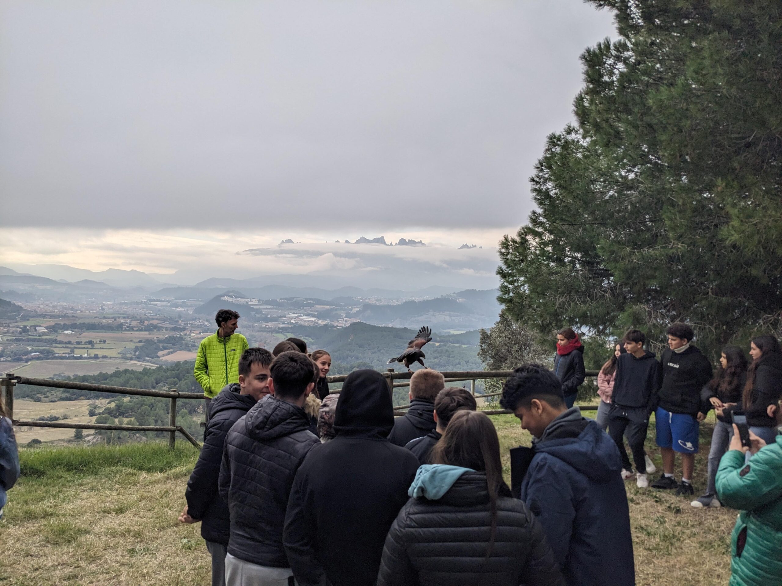 PXL_20241203_093902435.MP