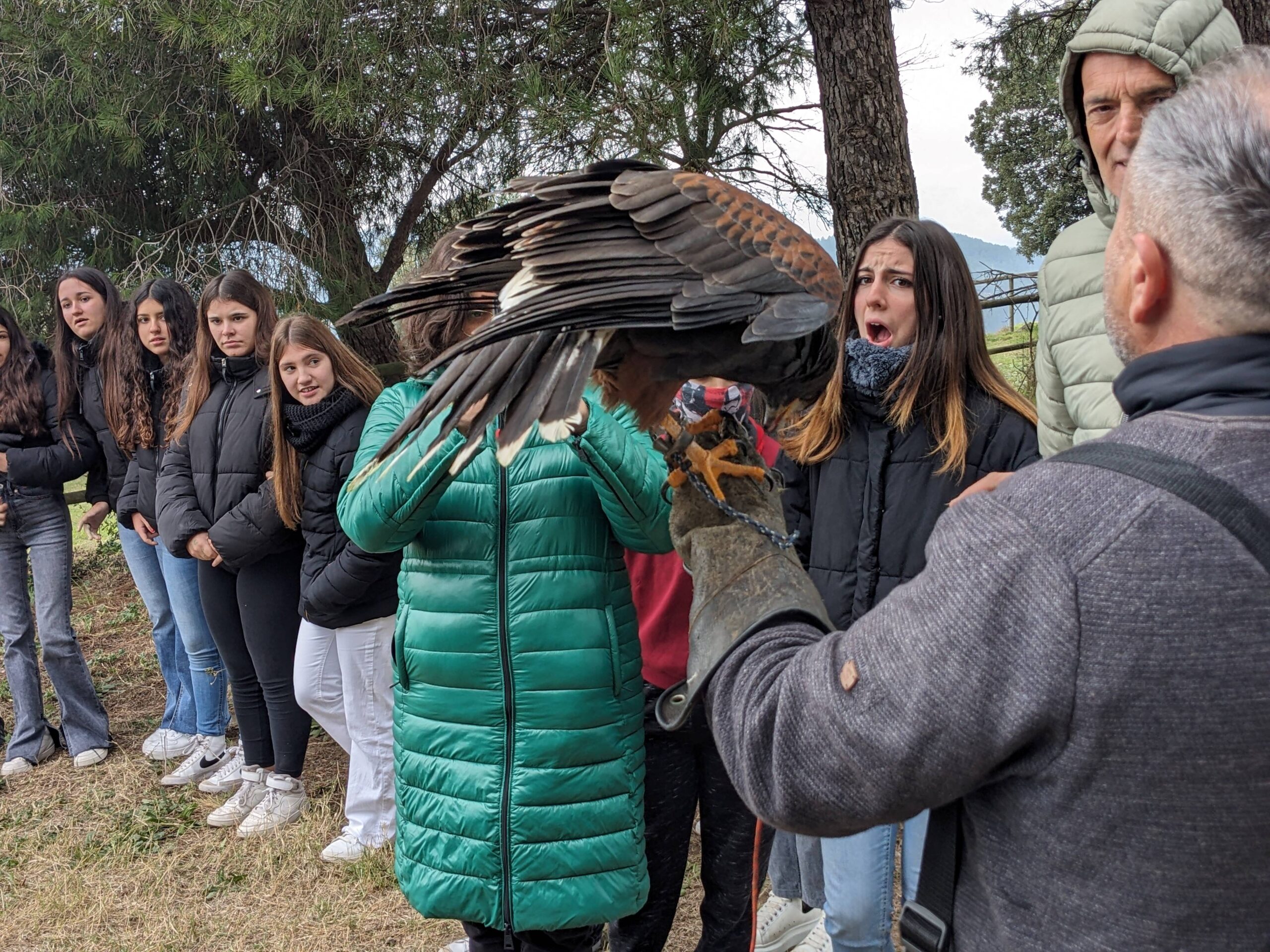 PXL_20241203_093920009.MP