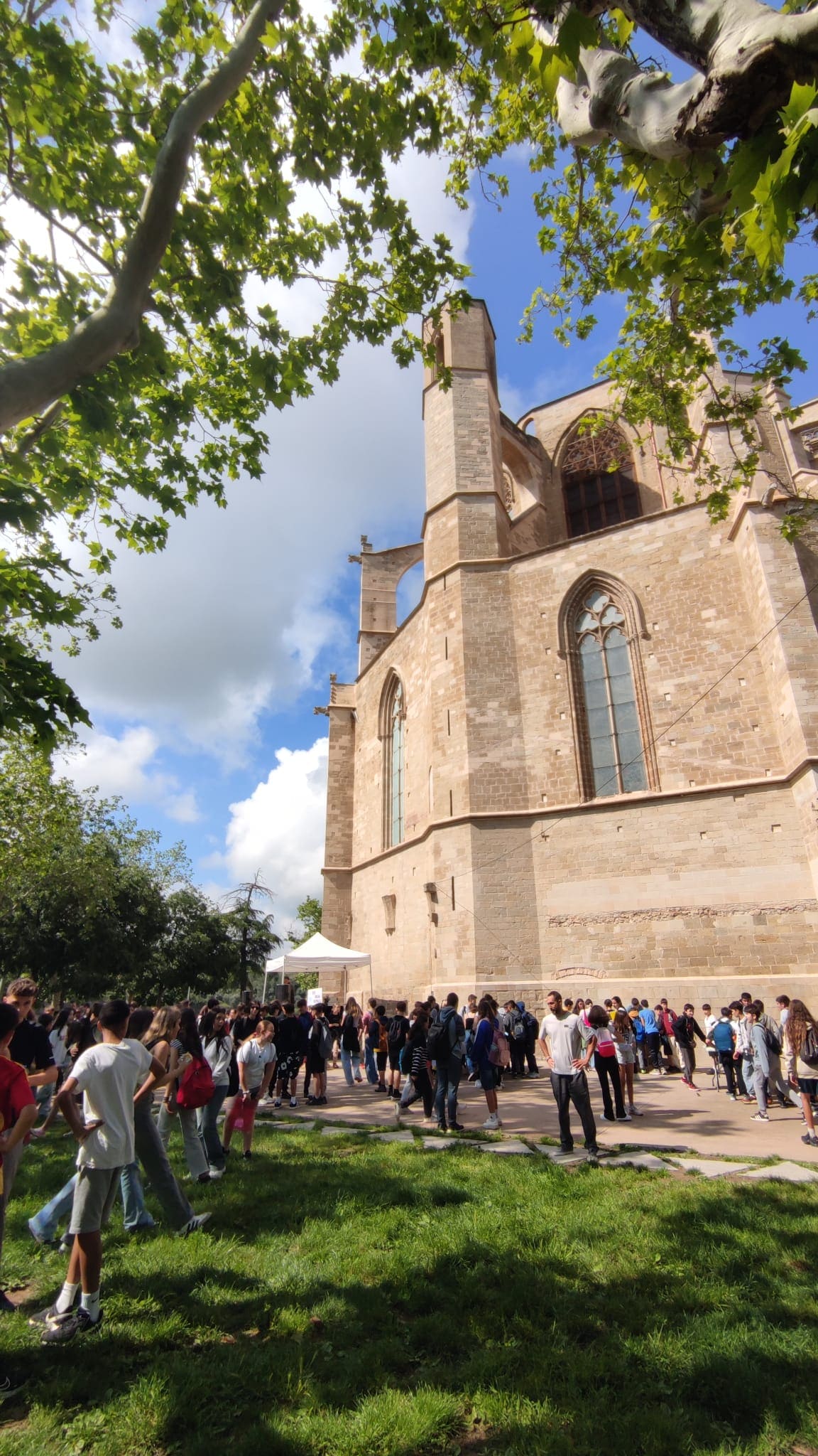 WhatsApp Image 2025-05-09 at 15.15.27 (1)